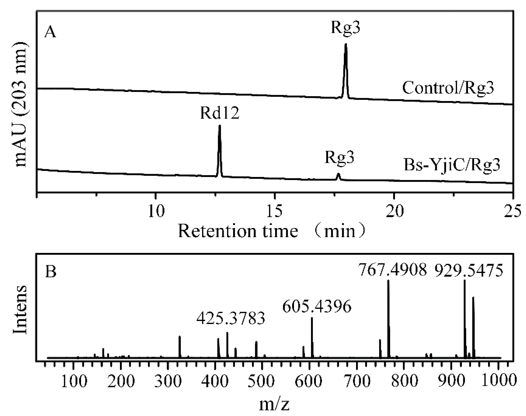 Catalysts 10 00289 g003 Catalysts 10 00289 g003