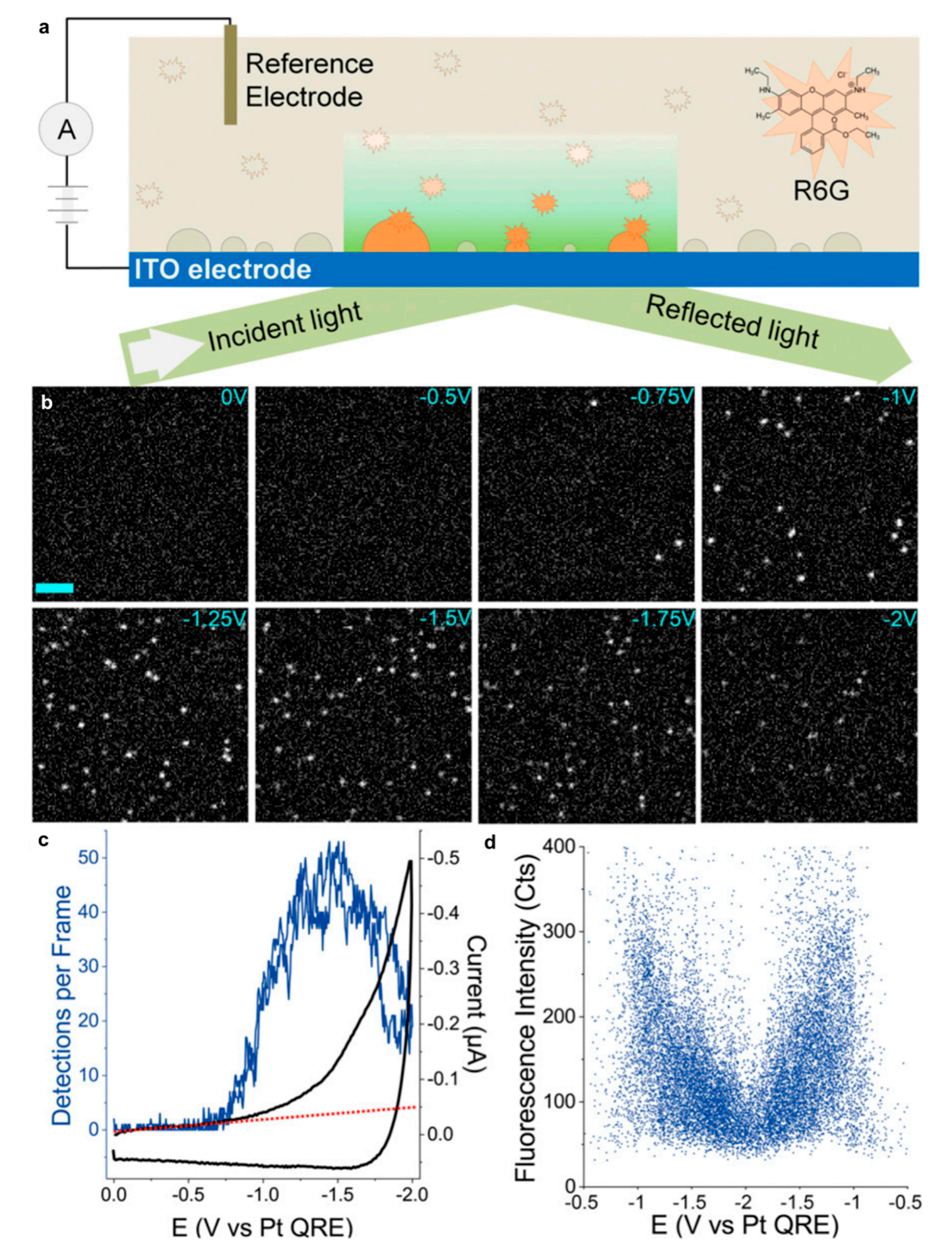 Catalysts 10 00290 g006