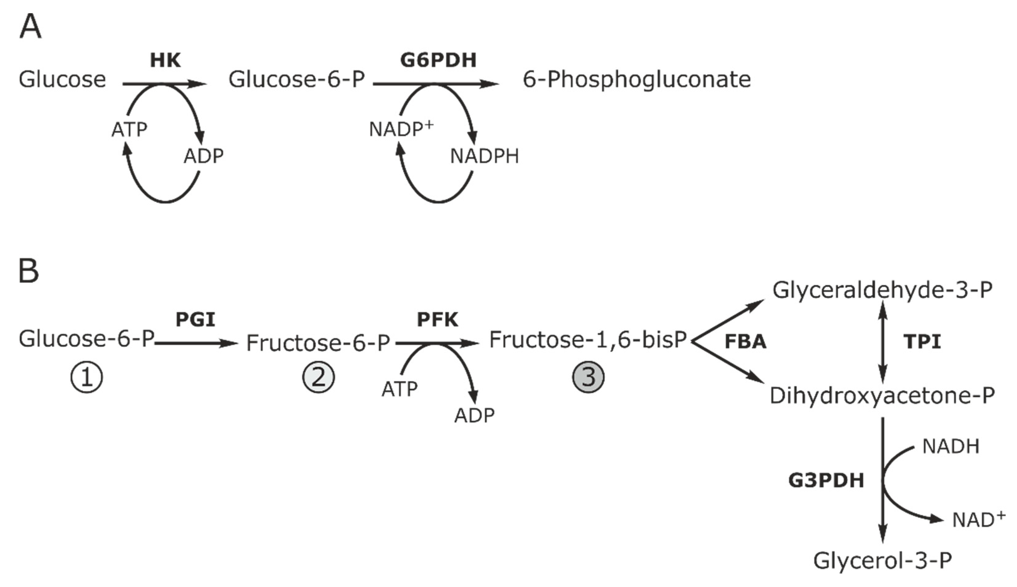 Catalysts 10 00291 g011