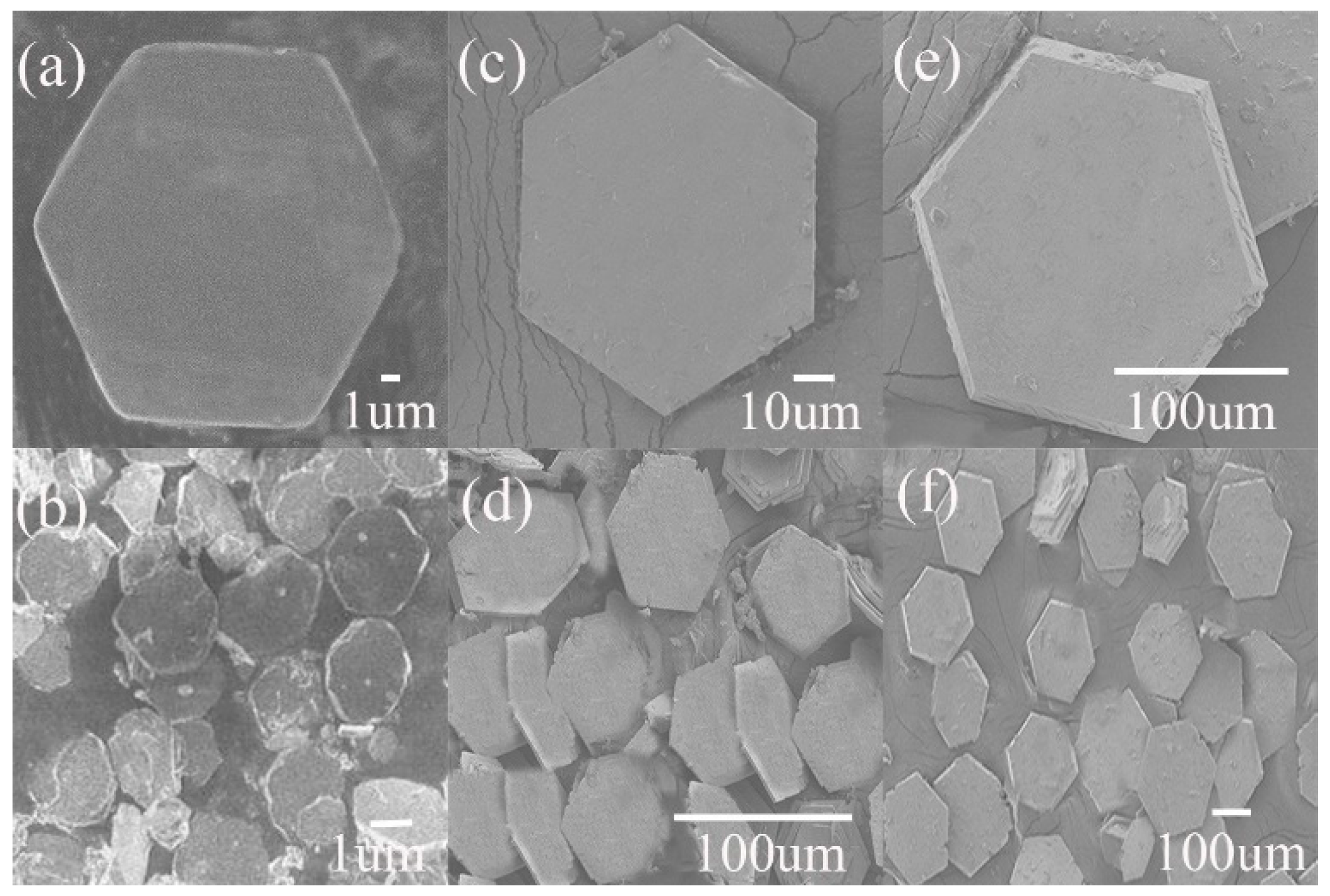Catalysts 10 00293 g001 Catalysts 10 00293 g001