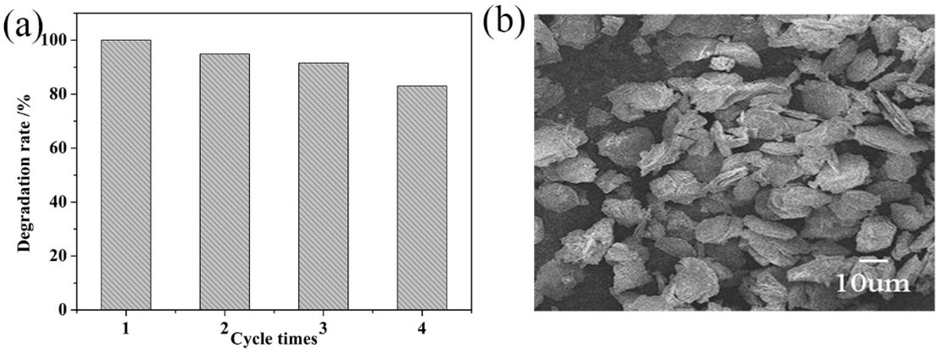 Catalysts 10 00293 g007 Catalysts 10 00293 g007