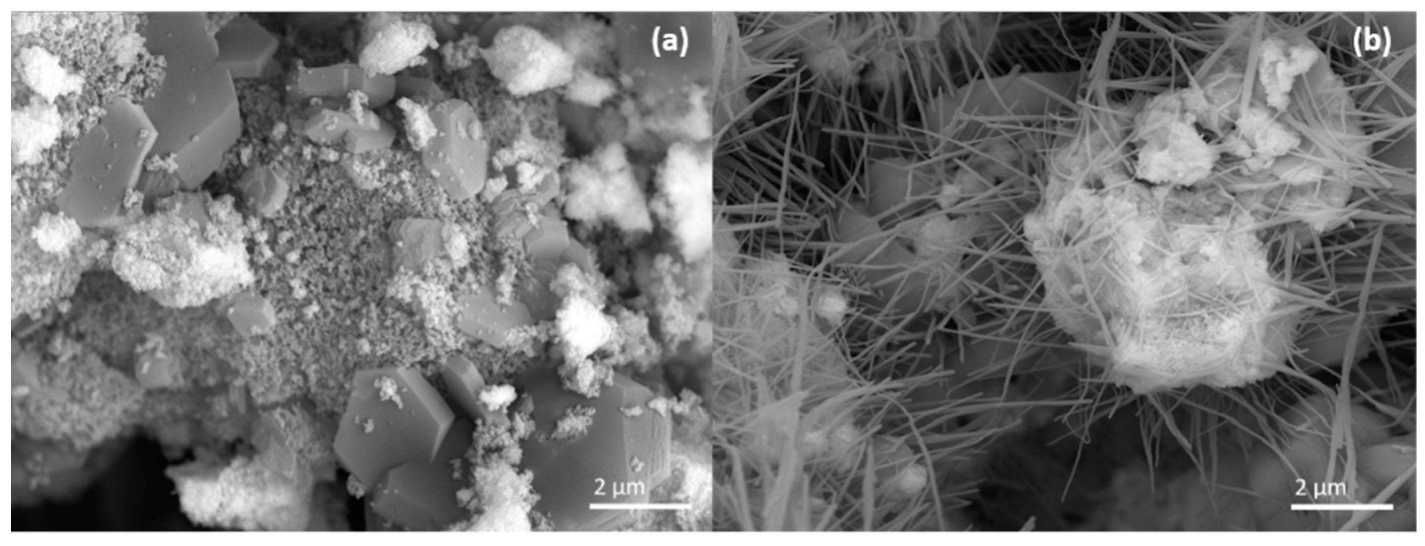 Catalysts 10 00294 g007 Catalysts 10 00294 g007