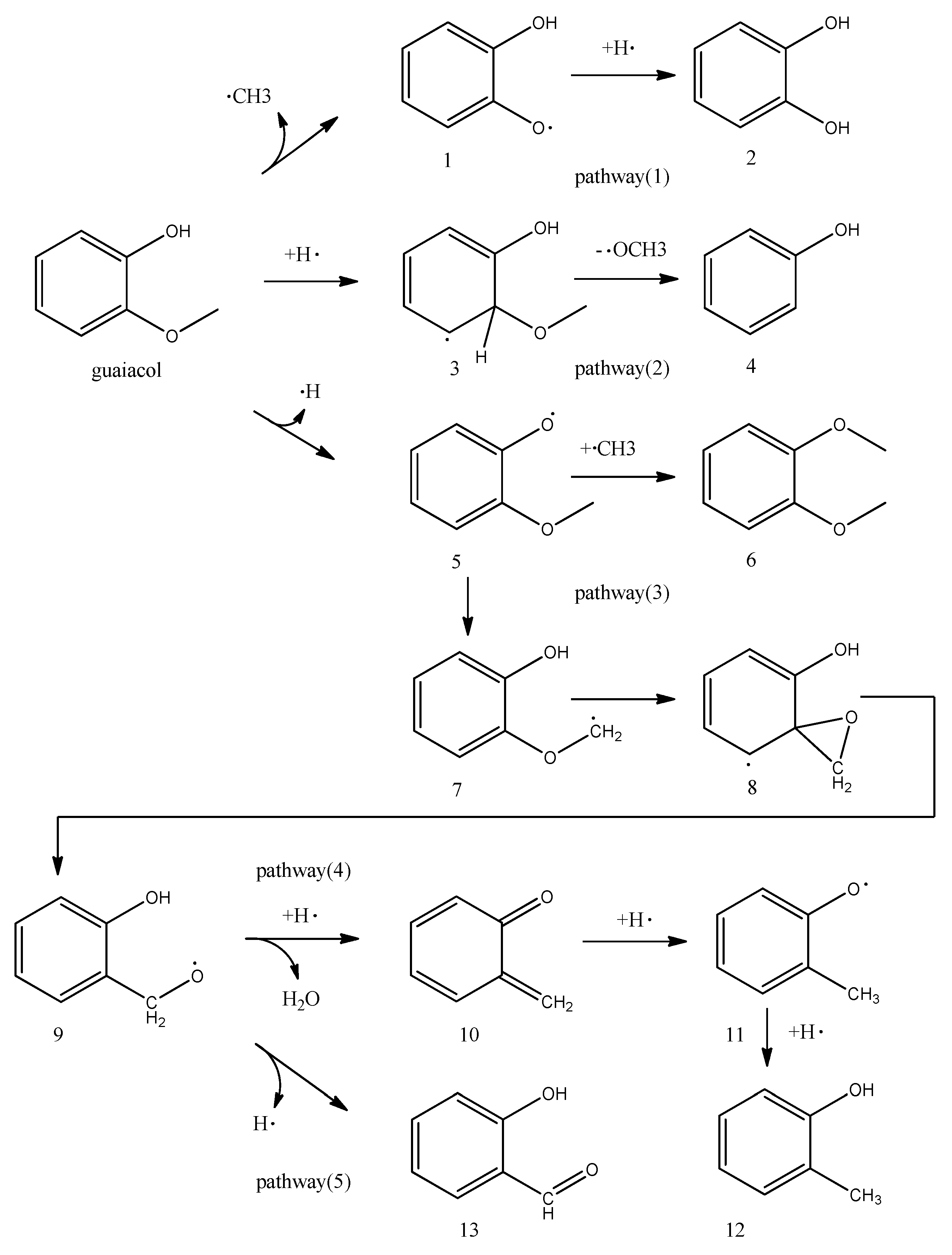 Catalysts 10 00295 g005