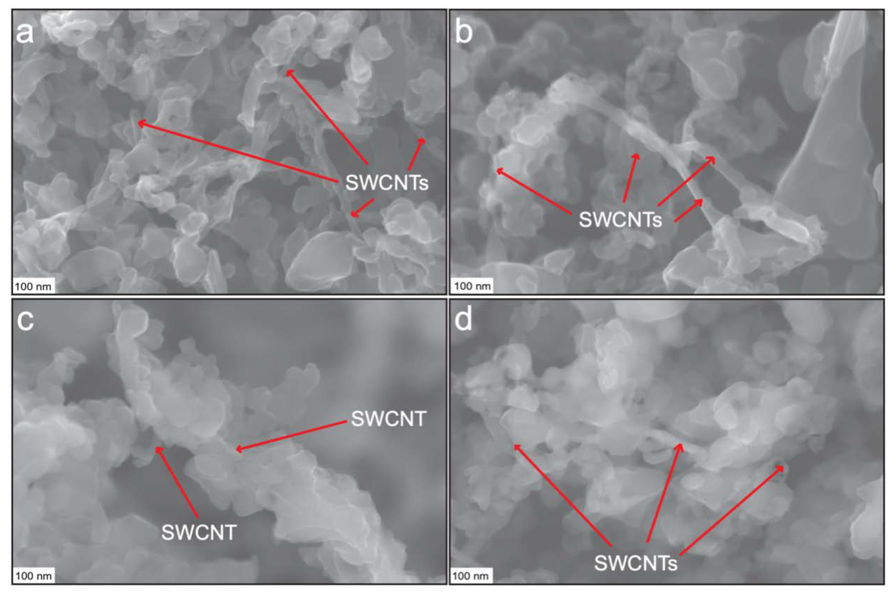 Catalysts 10 00297 g001