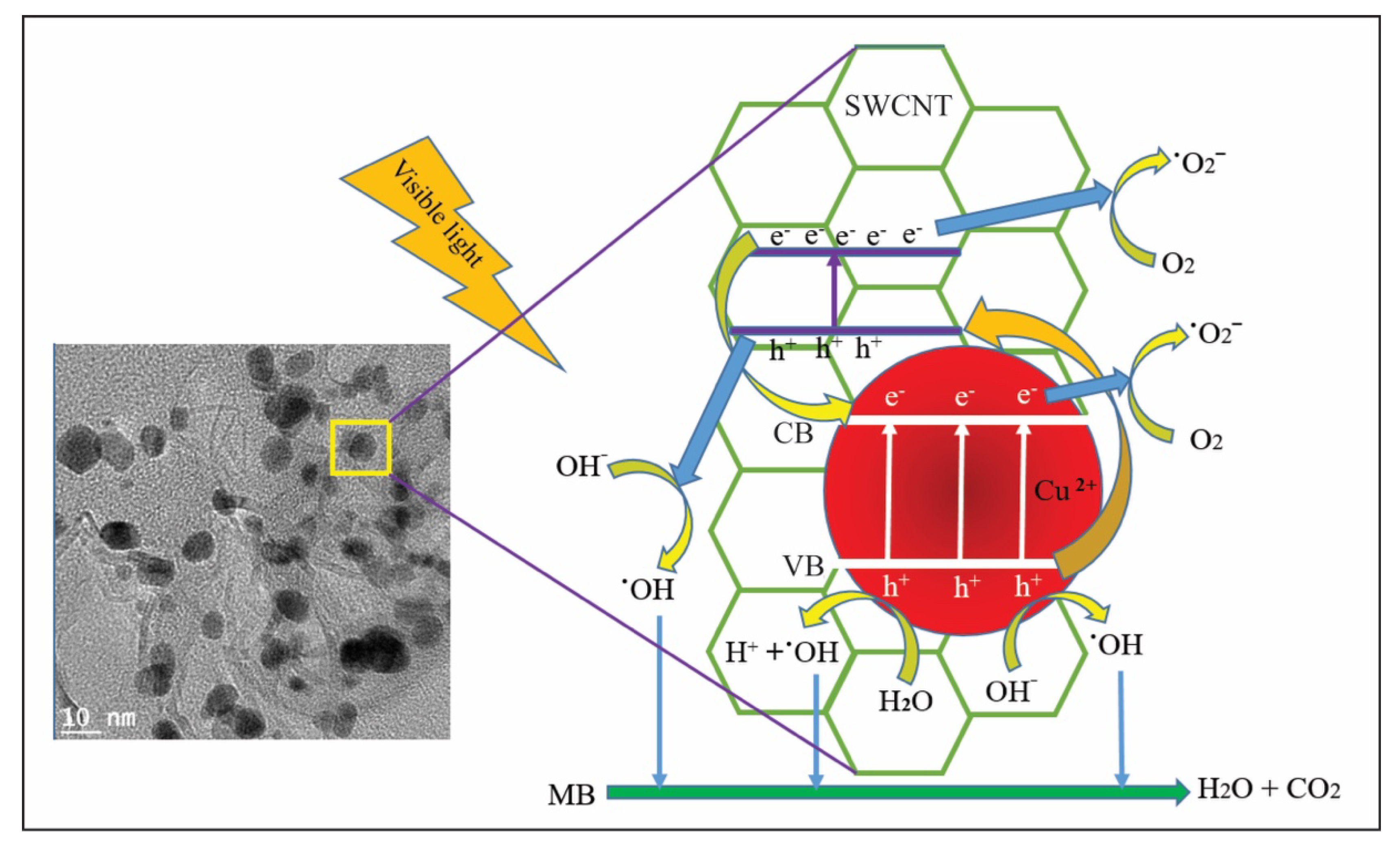 Enhanced Visible-Light Photocatalysis of Nanocomposites of