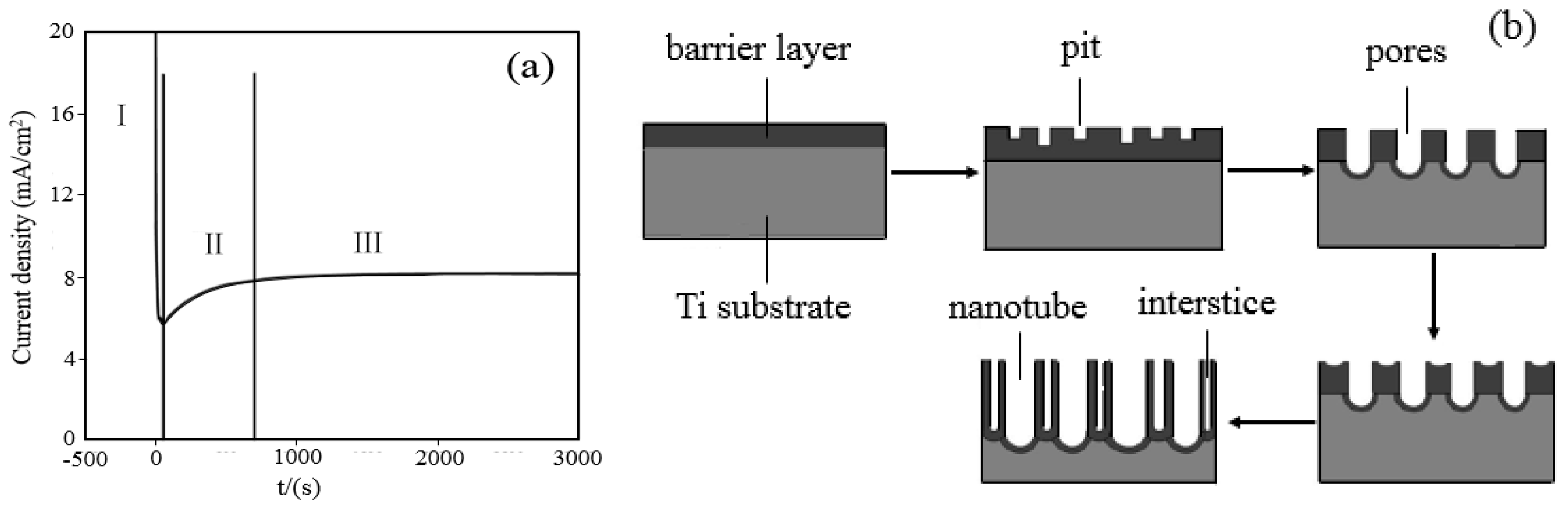 Catalysts 10 00298 g001