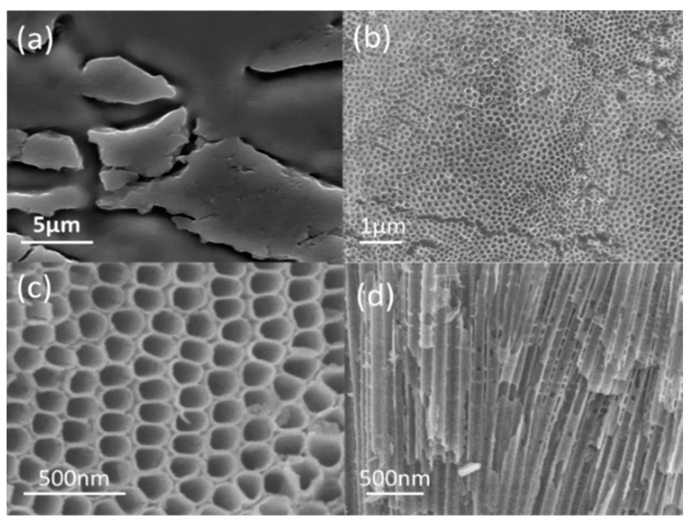 Catalysts 10 00298 g003