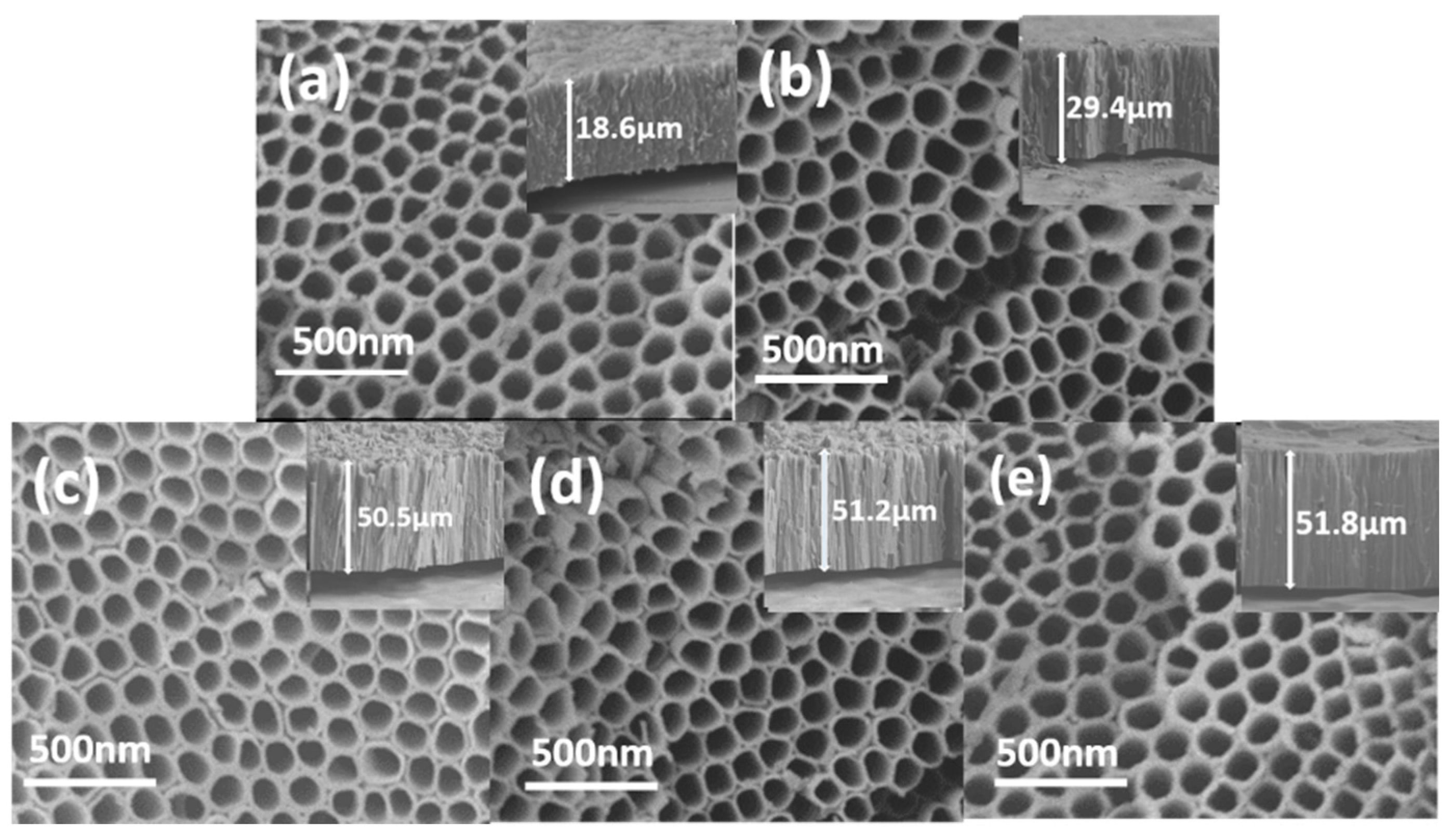 Catalysts 10 00298 g004