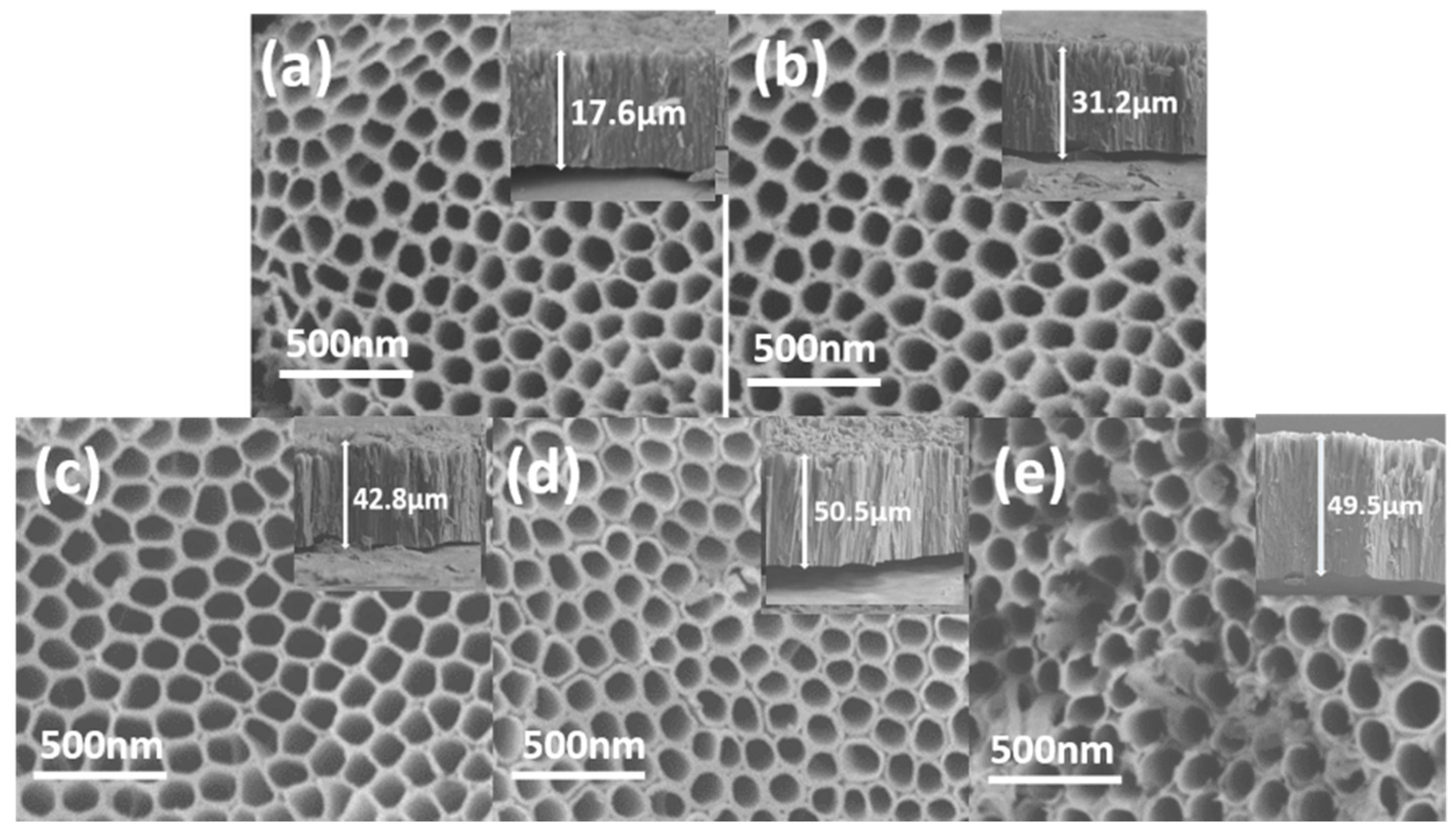 Catalysts 10 00298 g005