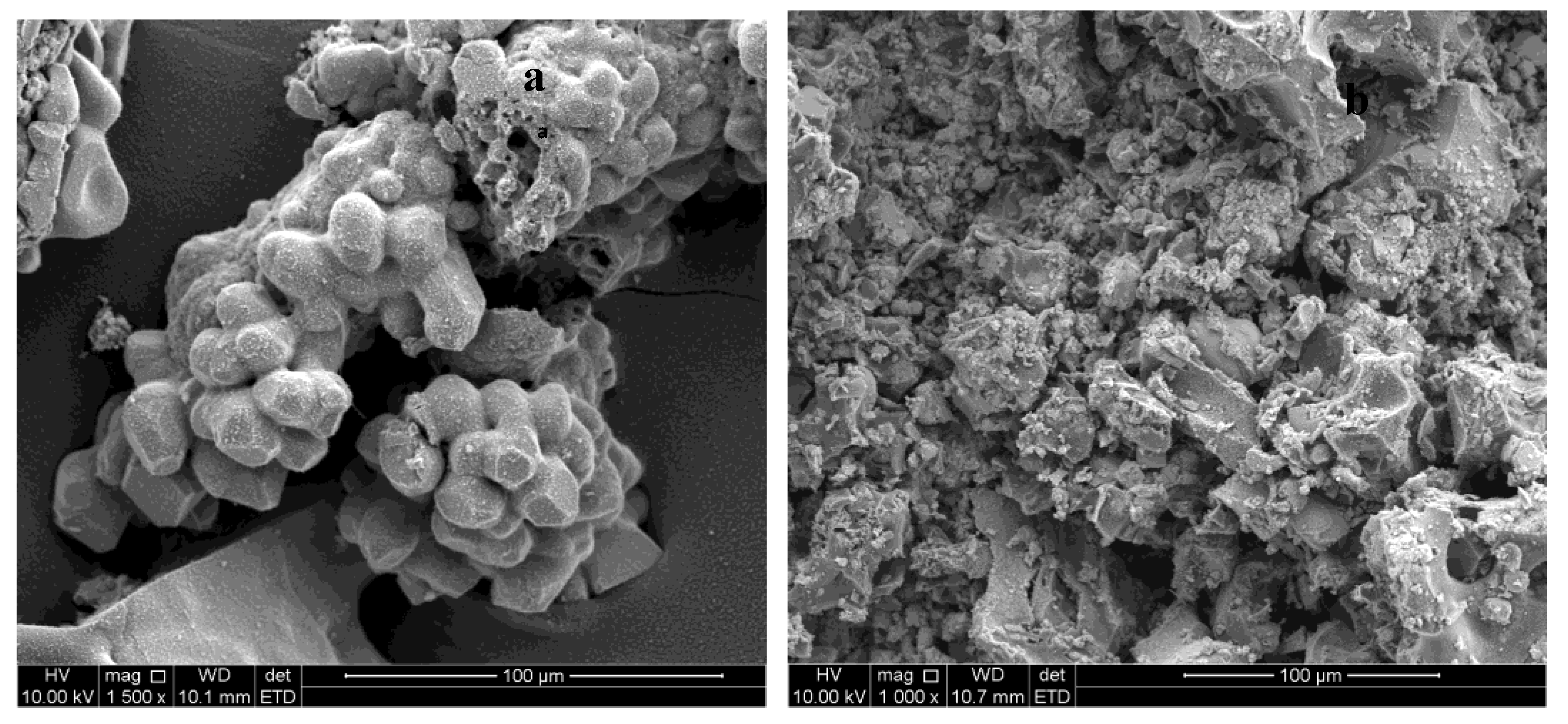 Catalysts 10 00300 g002 Catalysts 10 00300 g002