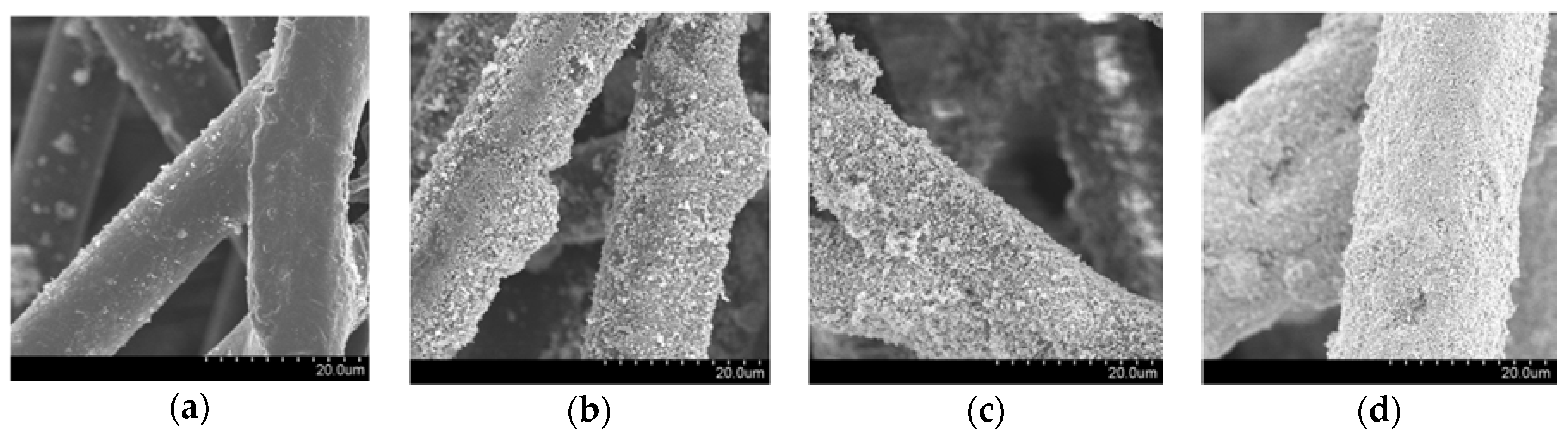 Catalysts 10 00304 g001 Catalysts 10 00304 g001