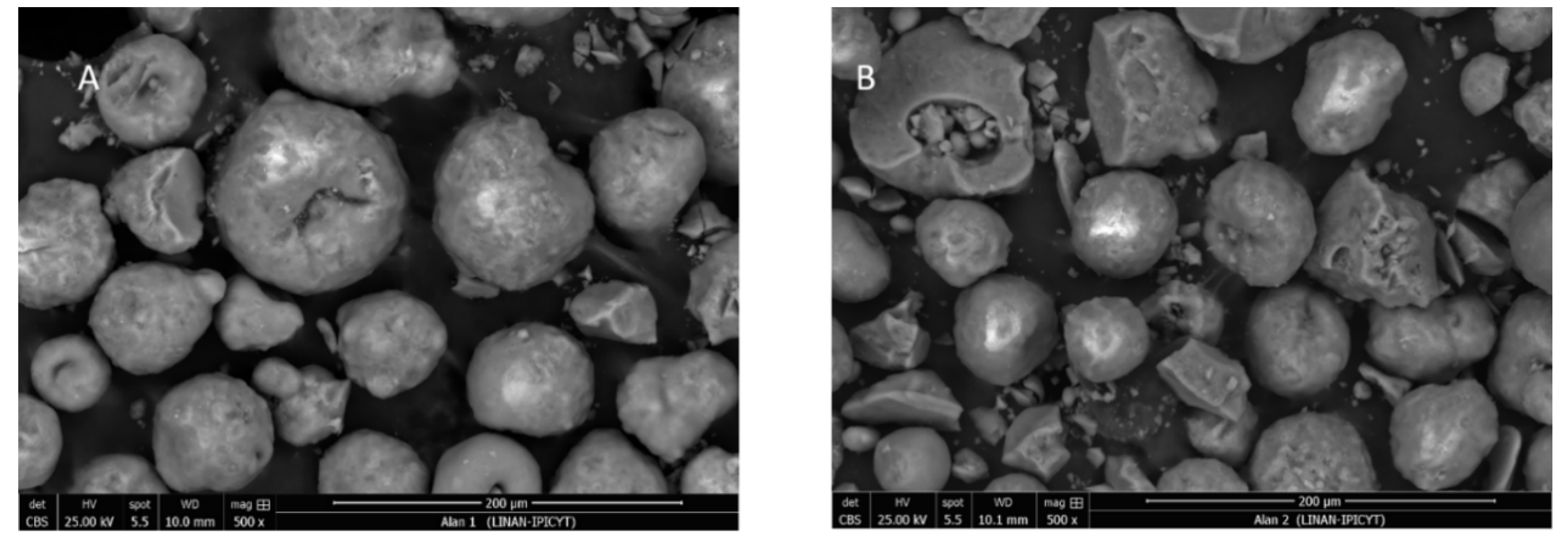 Catalysts 10 00316 g002 Catalysts 10 00316 g002