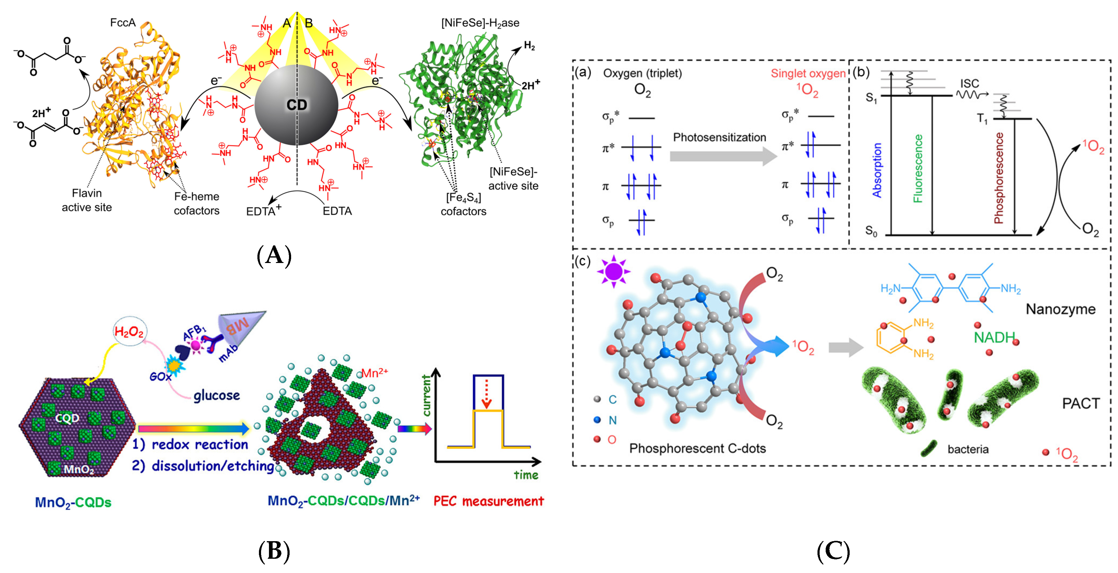 Catalysts 10 00320 g010 Catalysts 10 00320 g010