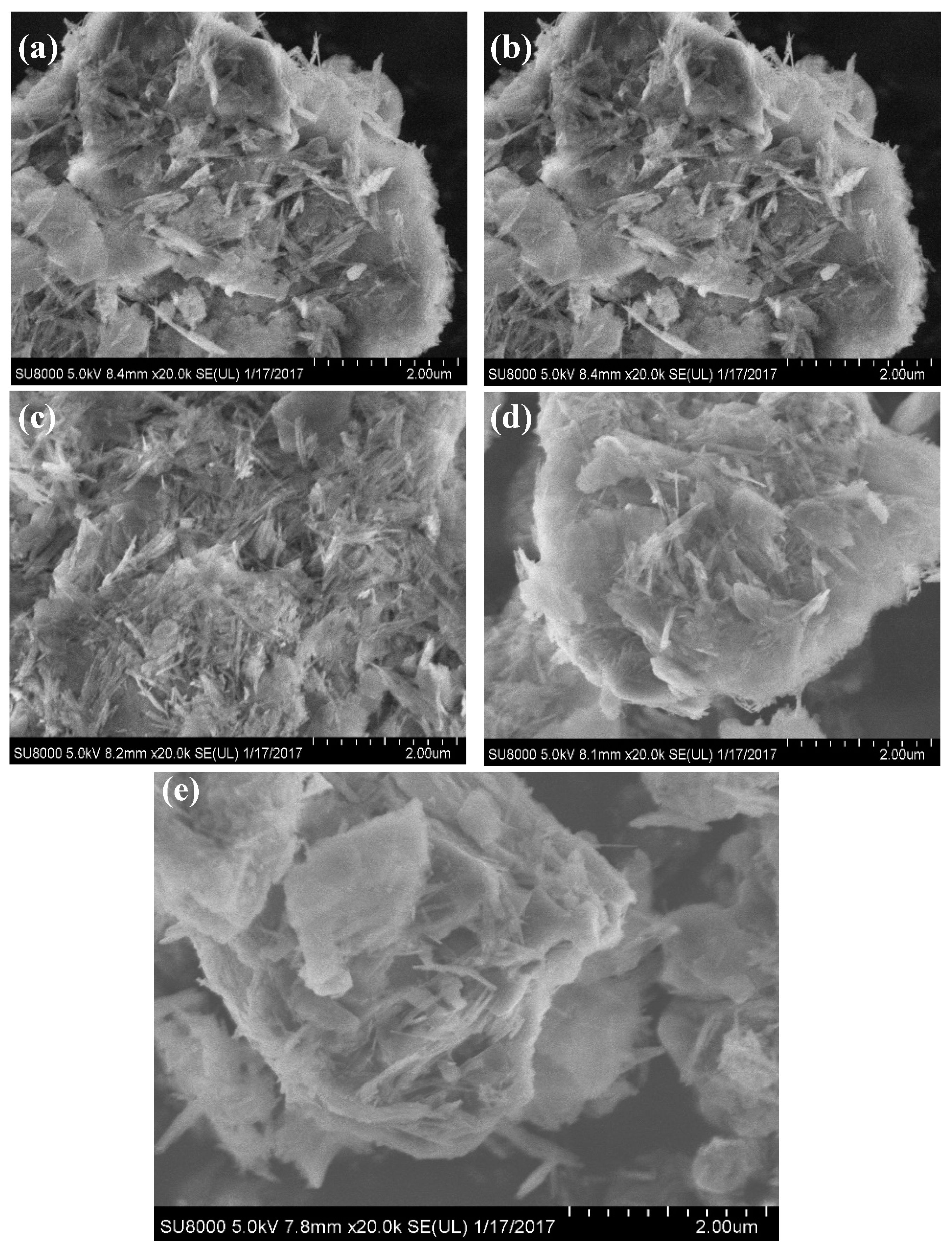 Catalysts 10 00328 g004 Catalysts 10 00328 g004