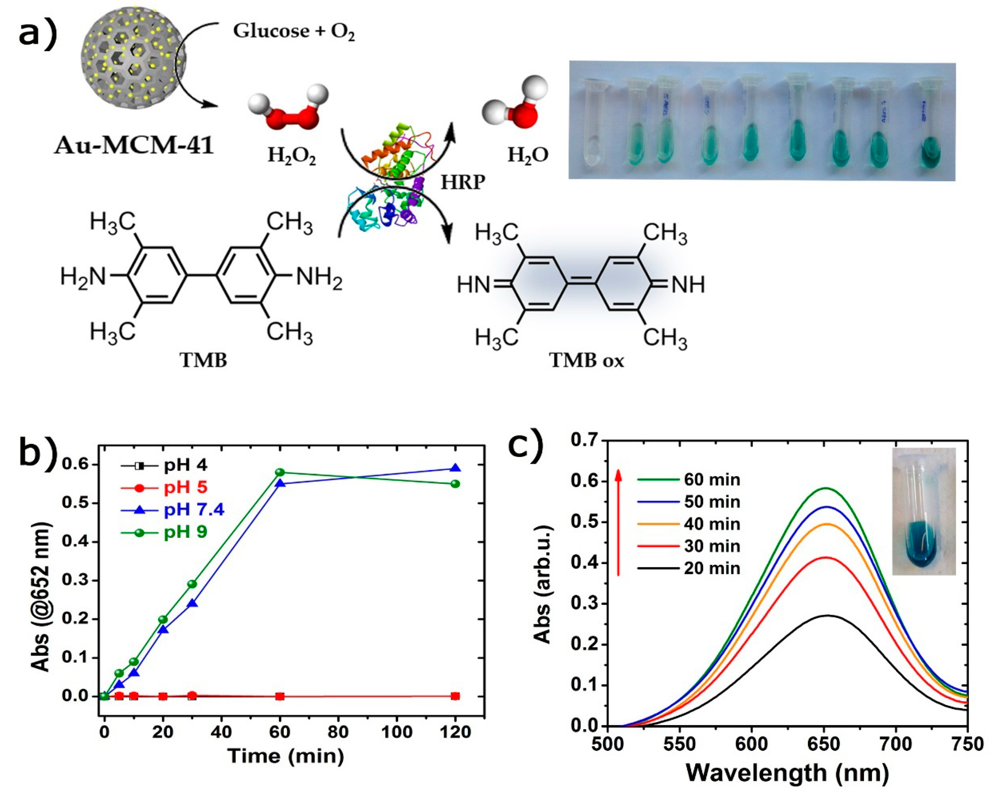 Catalysts 10 00333 g003 Catalysts 10 00333 g003