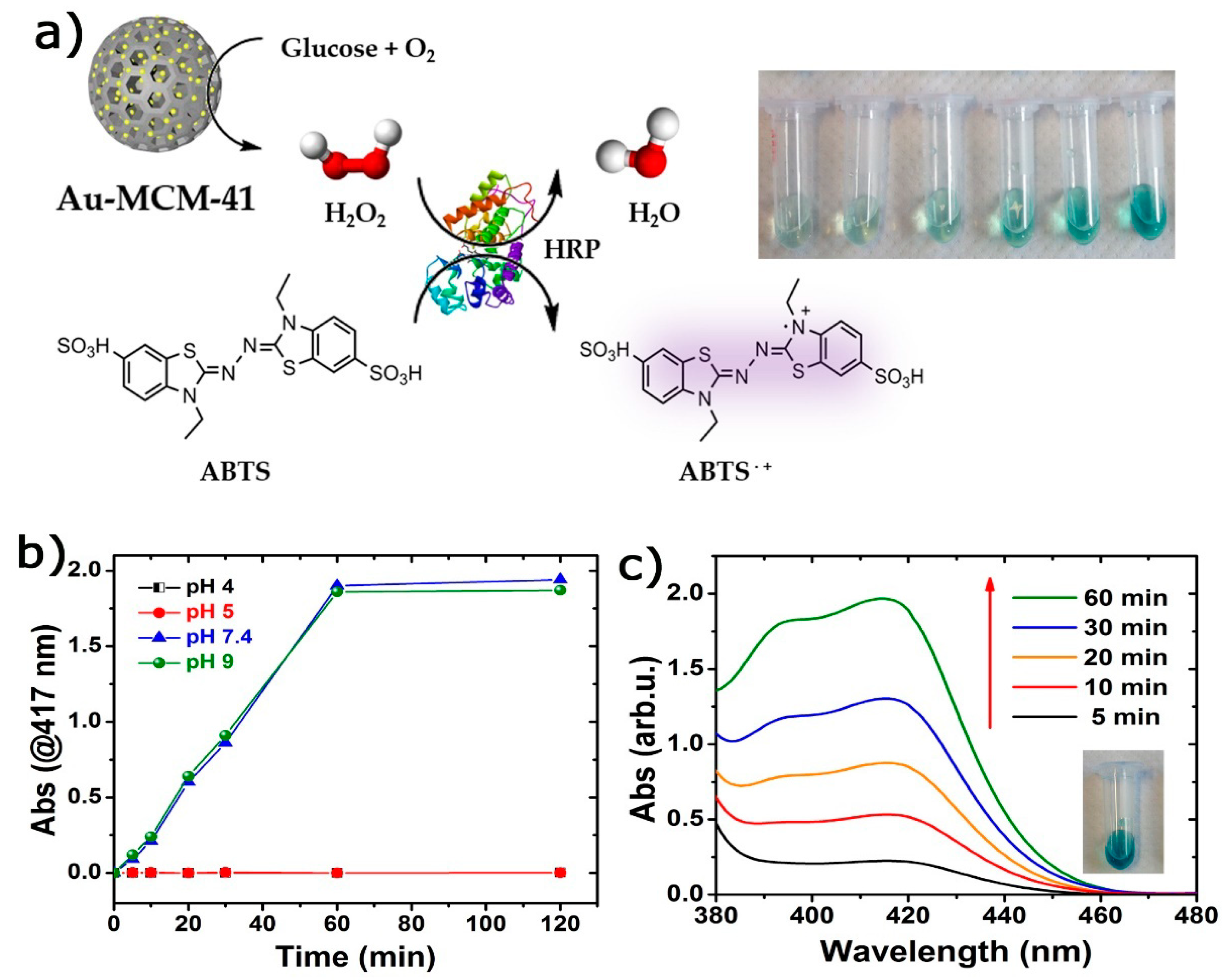 Catalysts 10 00333 g004 Catalysts 10 00333 g004
