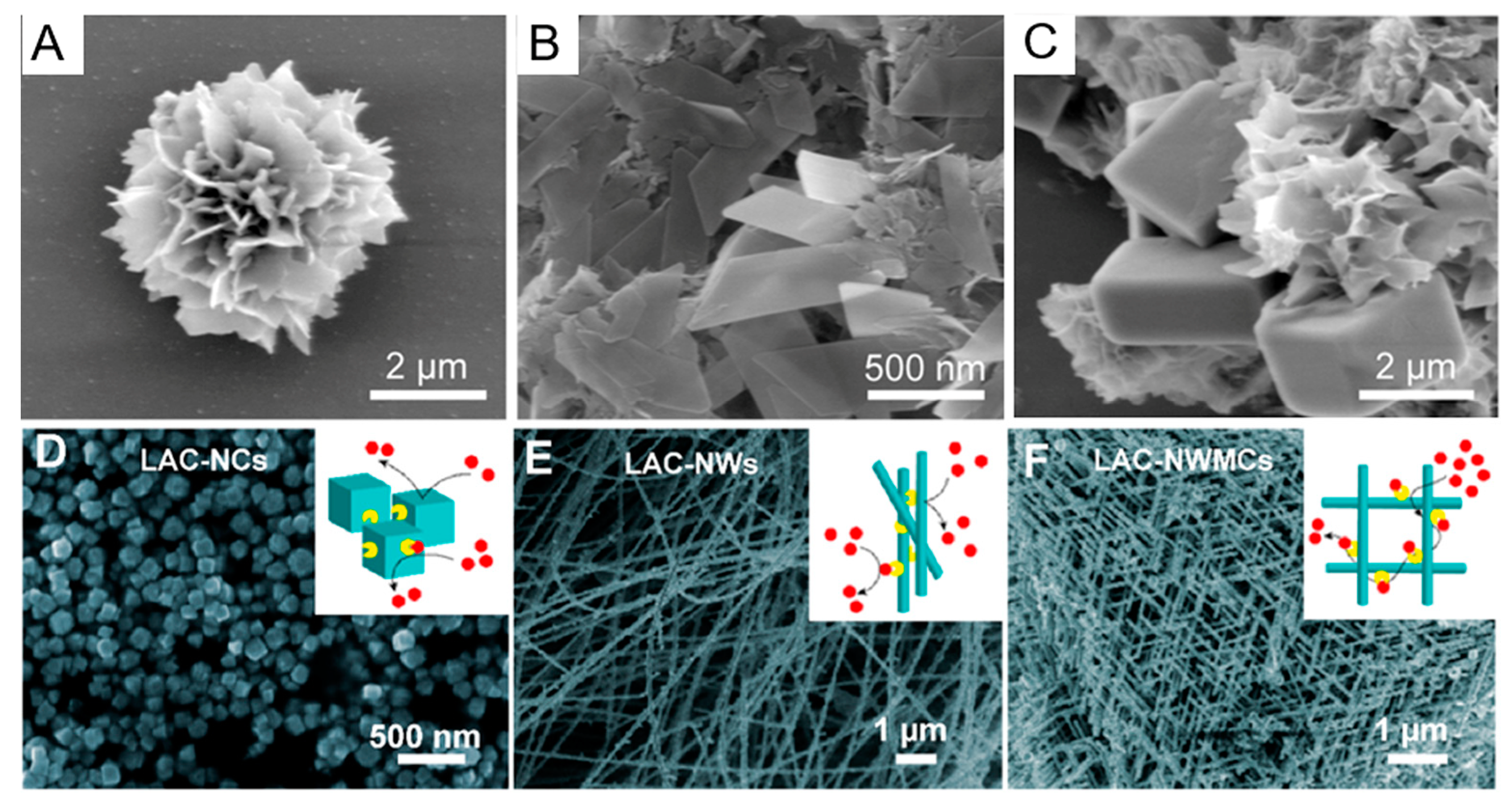 Catalysts 10 00338 g003 Catalysts 10 00338 g003