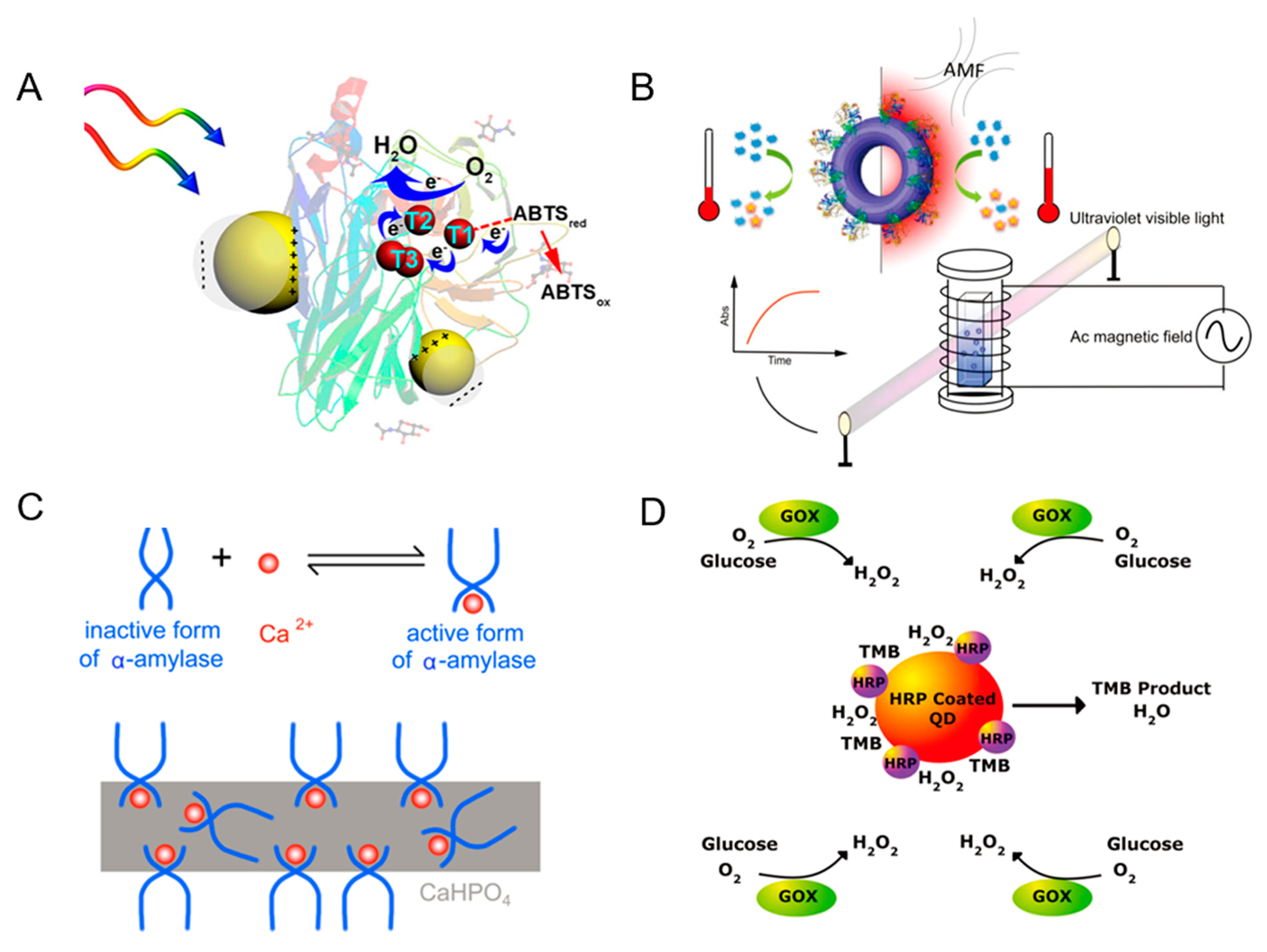 Catalysts 10 00338 g005 Catalysts 10 00338 g005