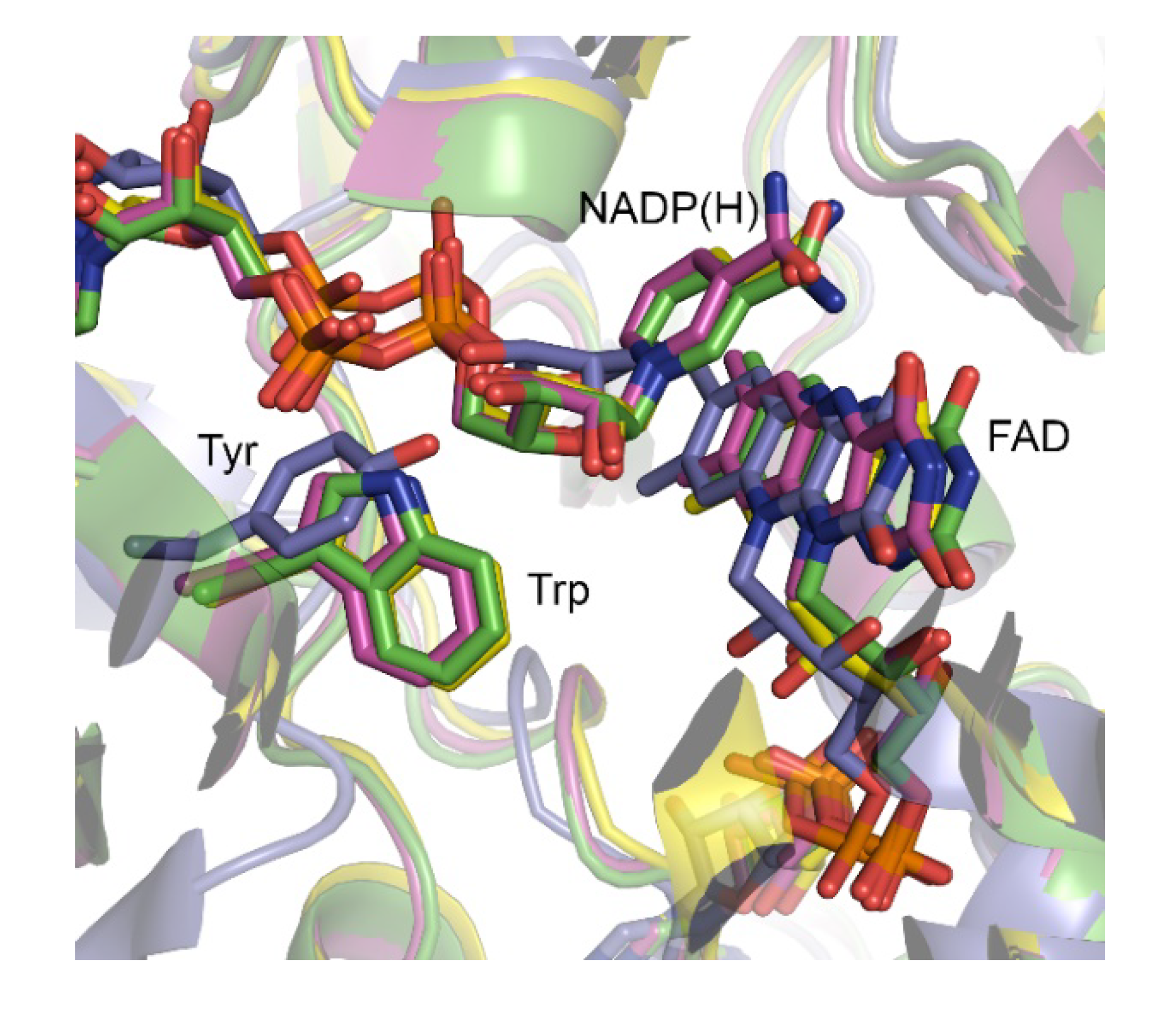 Catalysts 10 00339 g001