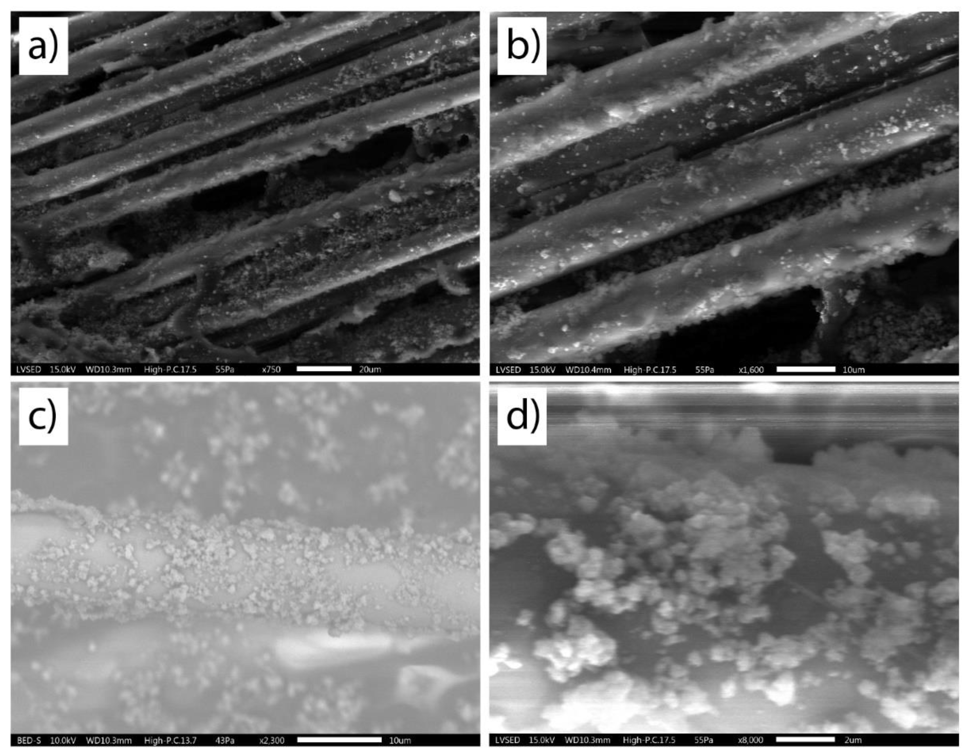 Catalysts 10 00344 g001