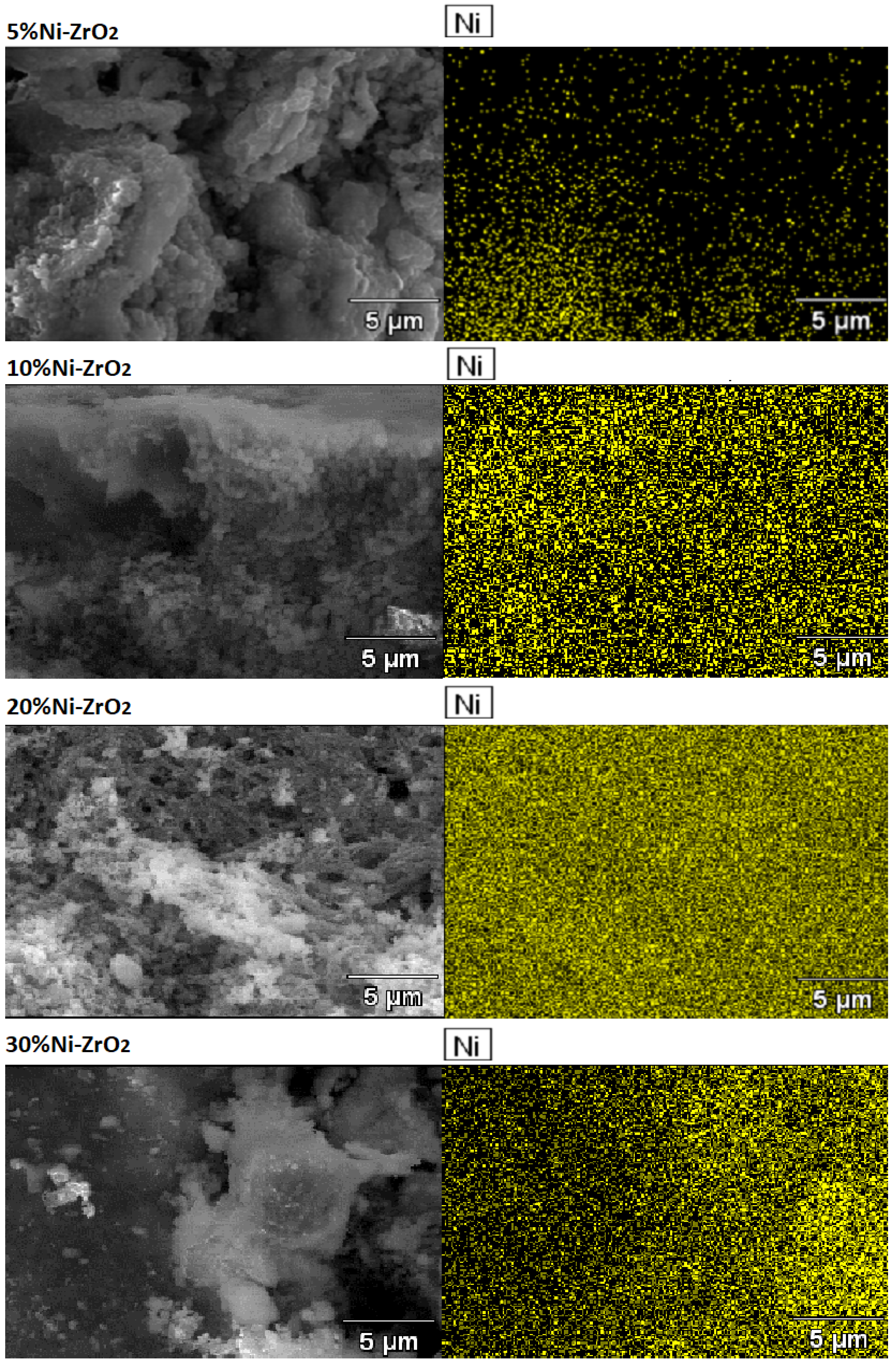 Catalysts 10 00346 g019