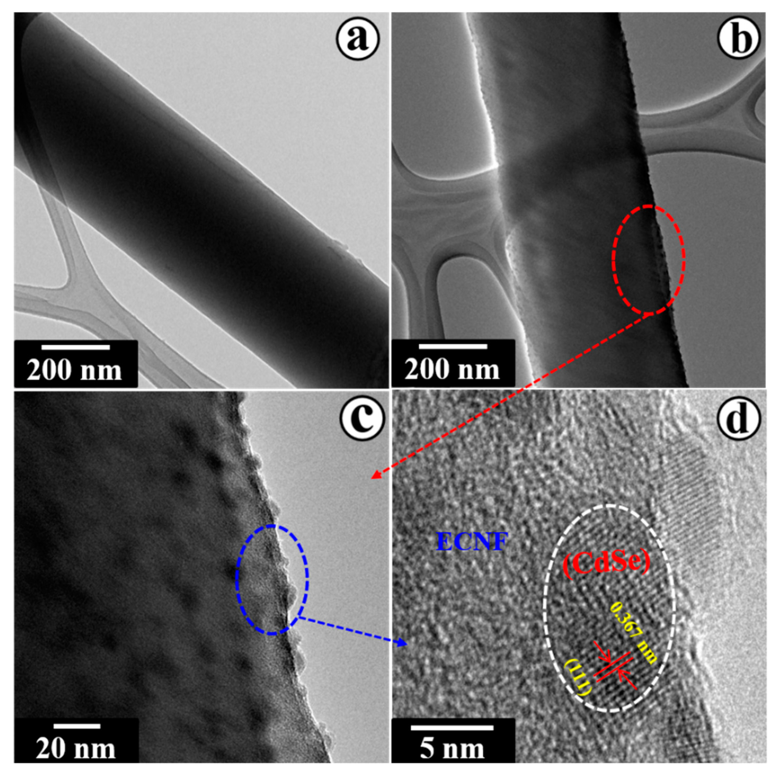Catalysts 10 00348 g004 Catalysts 10 00348 g004