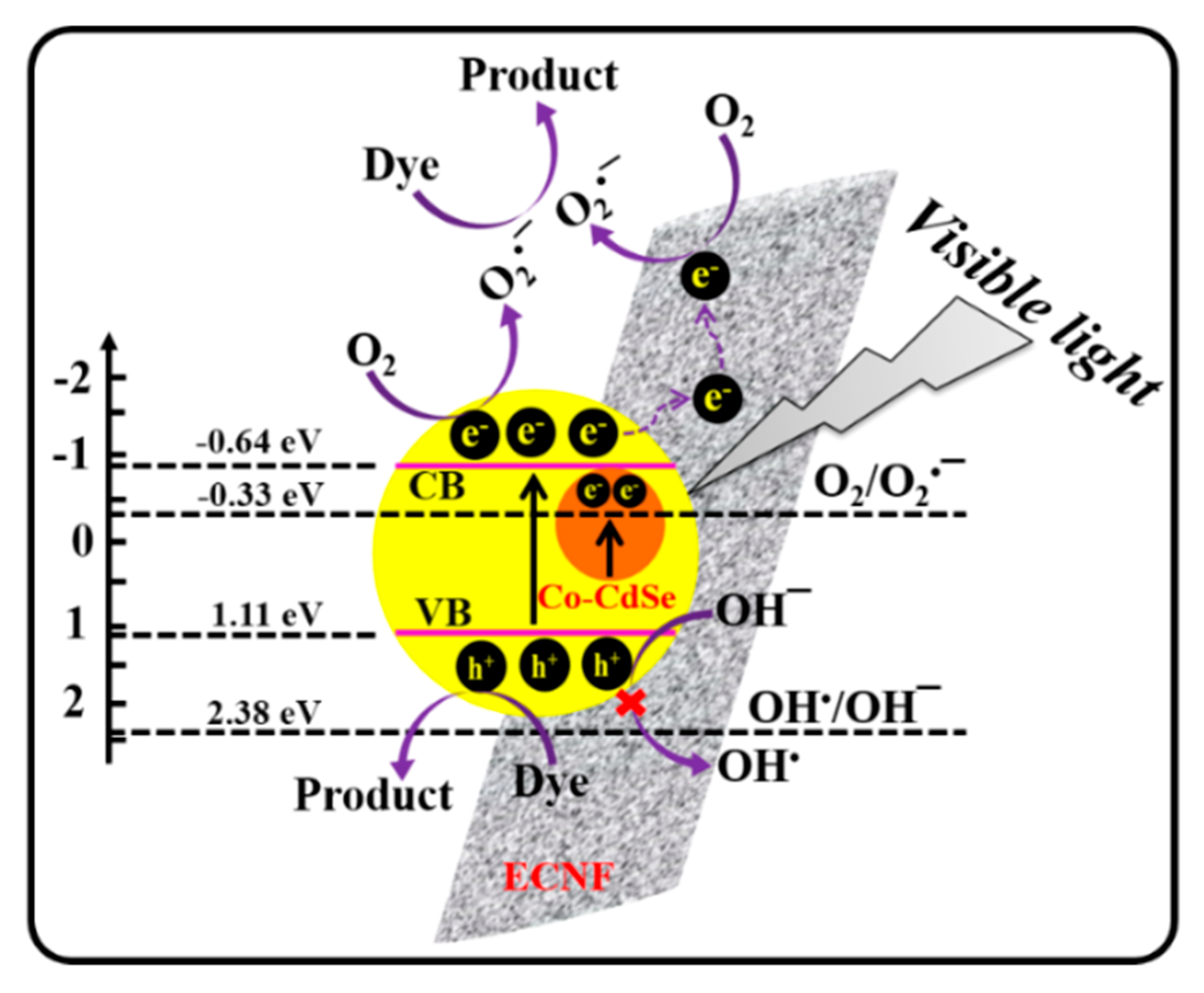 Catalysts 10 00348 g011 Catalysts 10 00348 g011