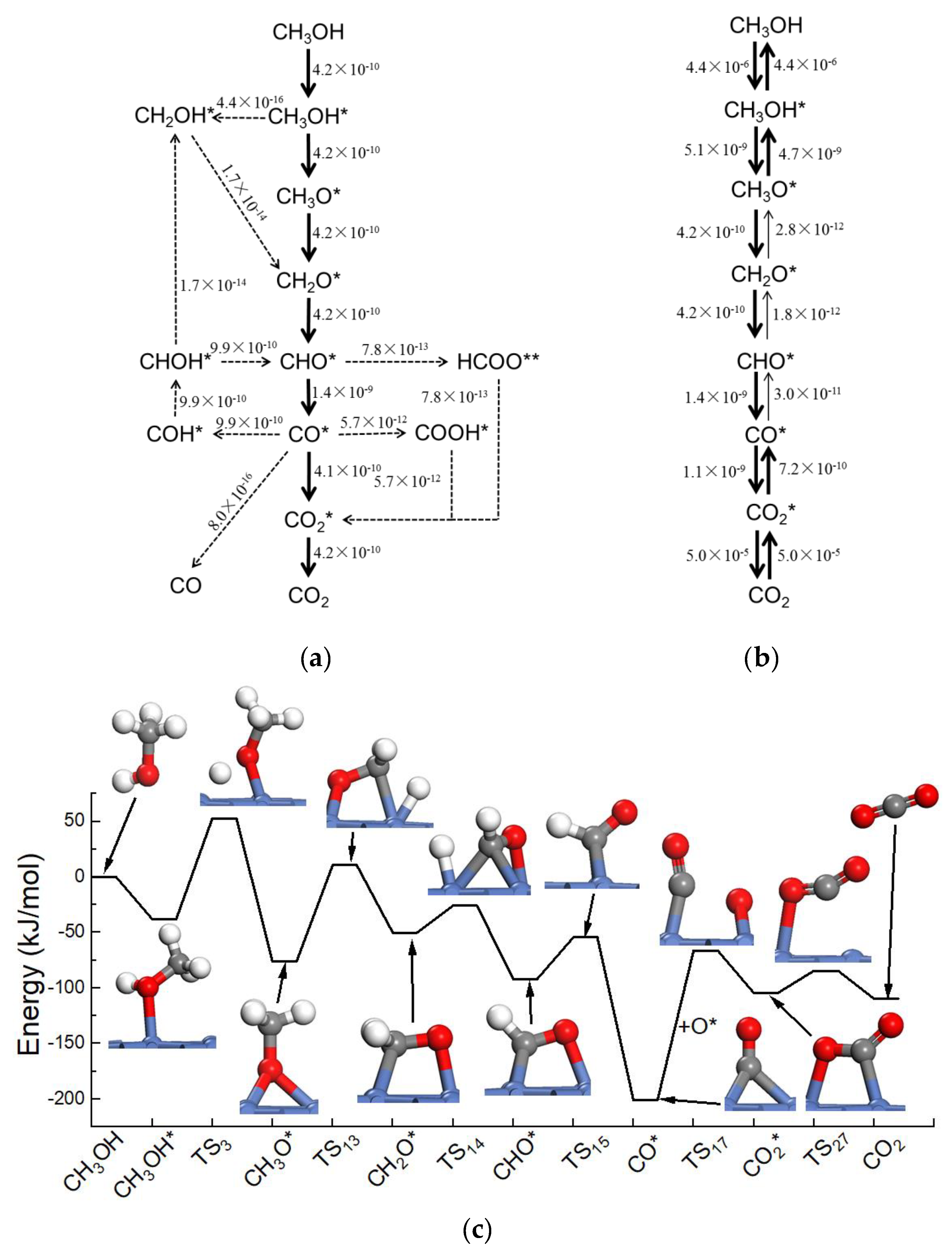 Catalysts 10 00349 g002
