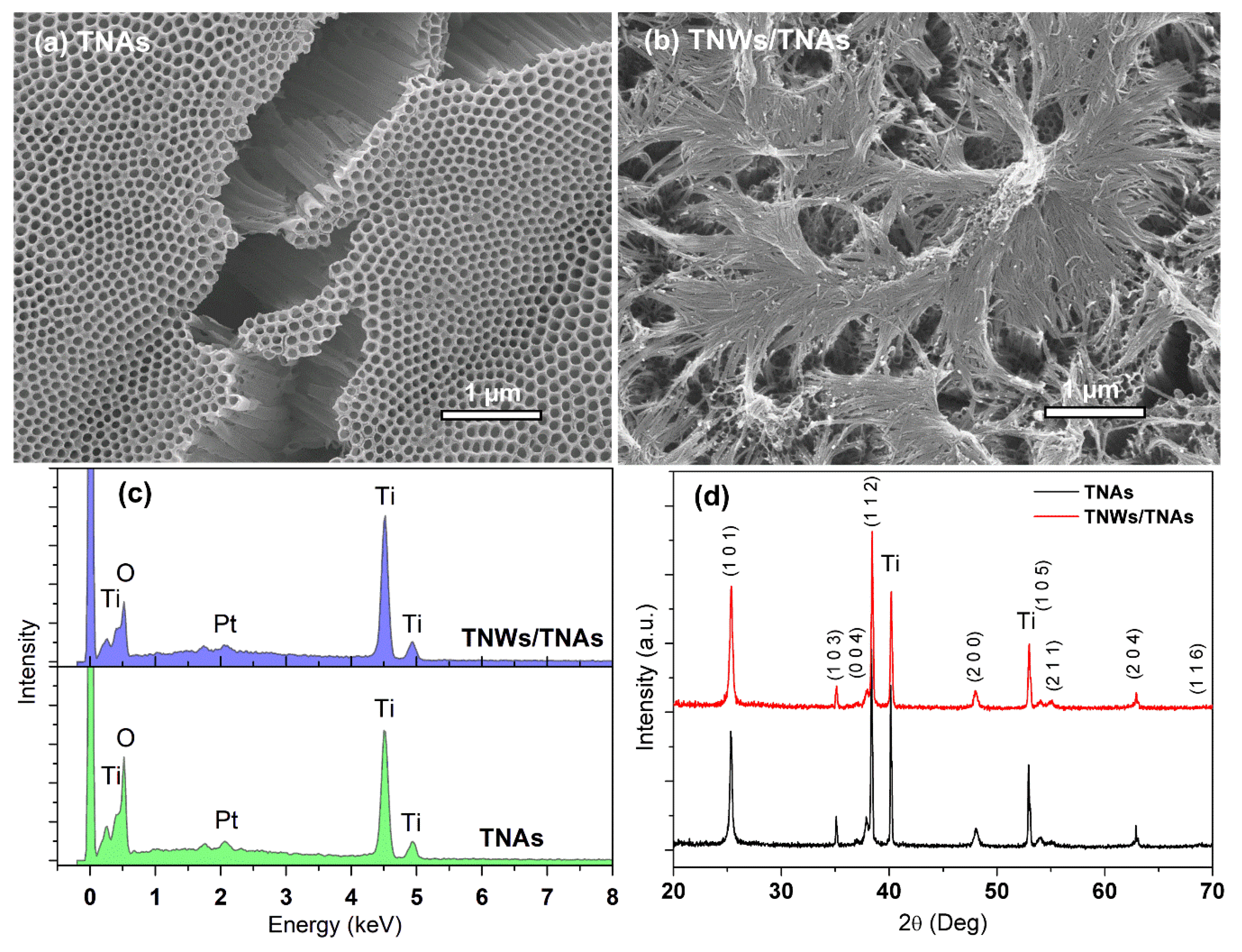Catalysts 10 00356 g003 Catalysts 10 00356 g003
