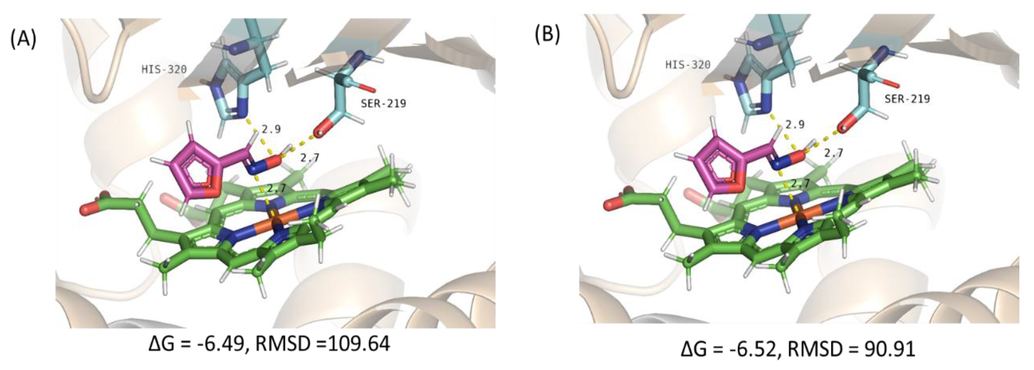 Catalysts 10 00362 g005