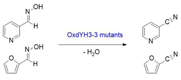 Catalysts 10 00362 i001