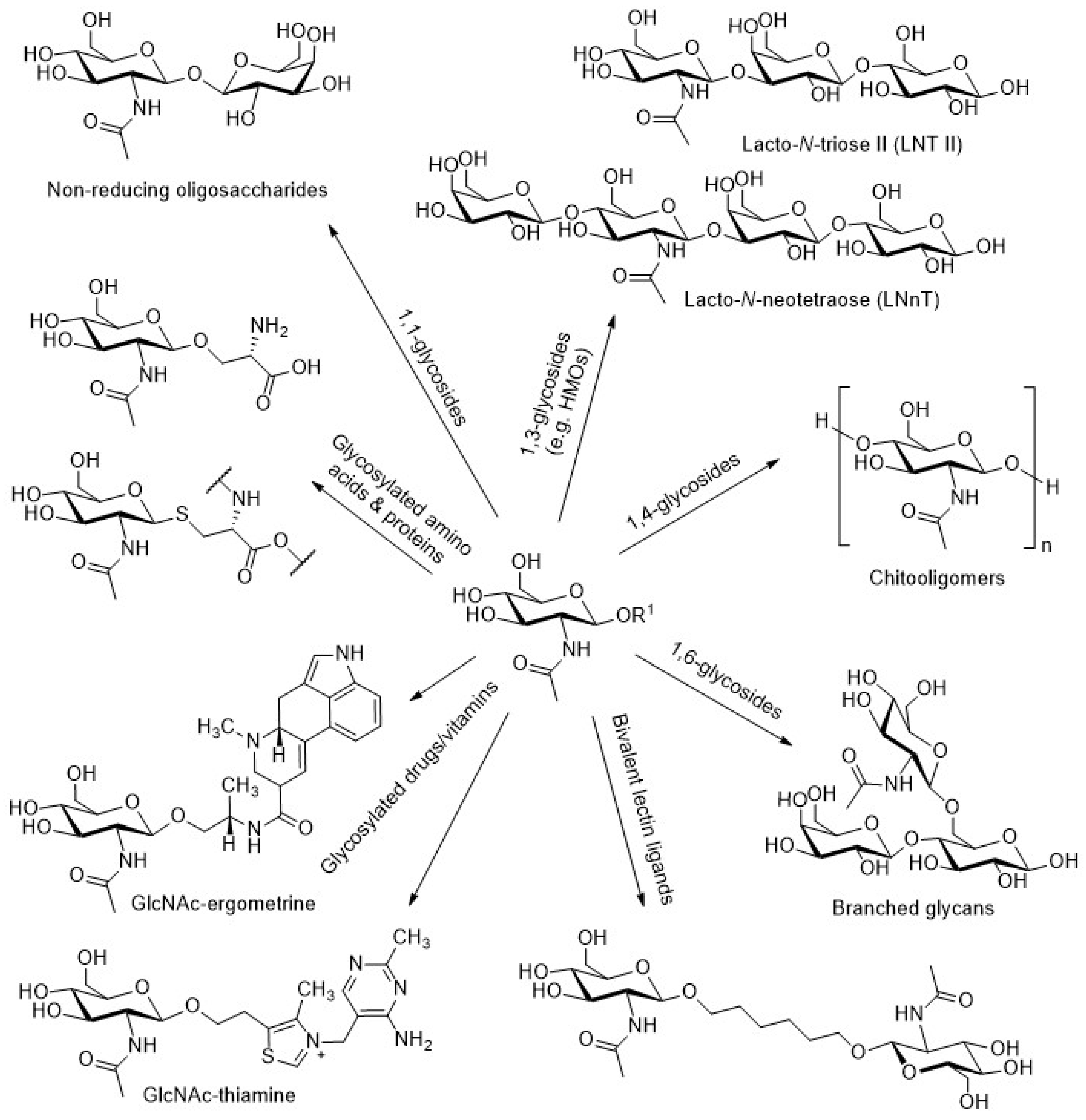 Catalysts 10 00365 g001