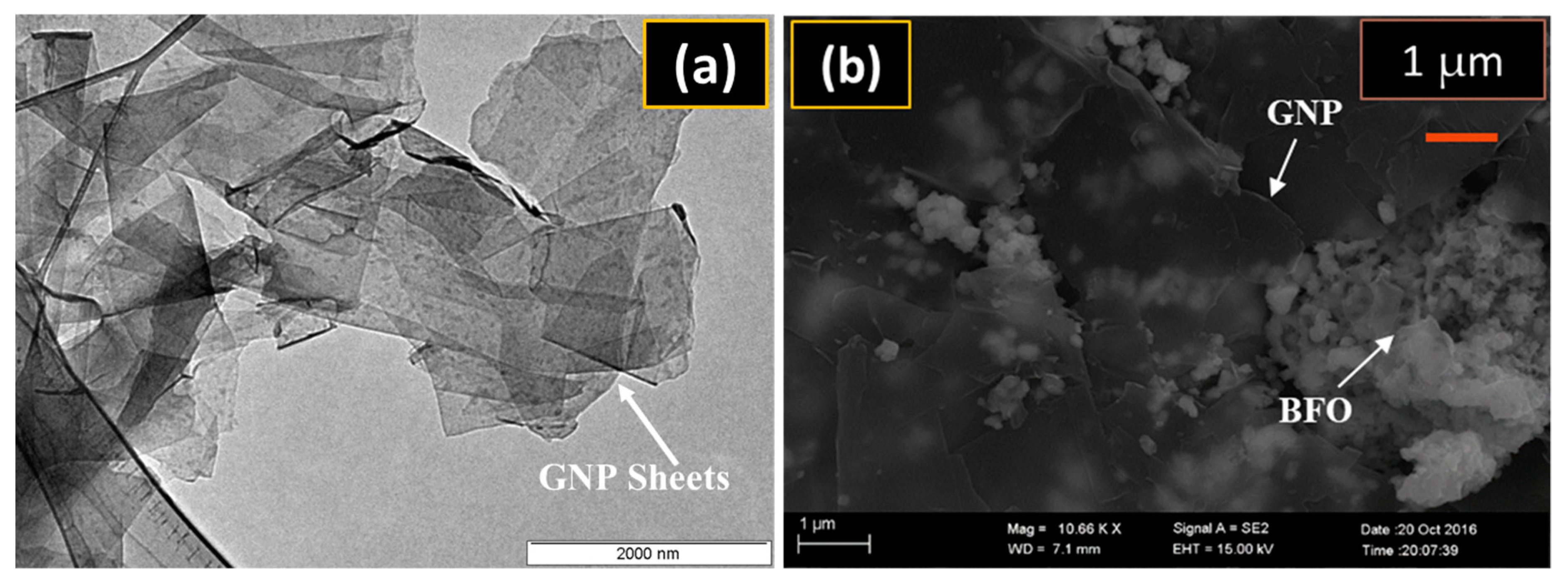 Catalysts 10 00367 g002