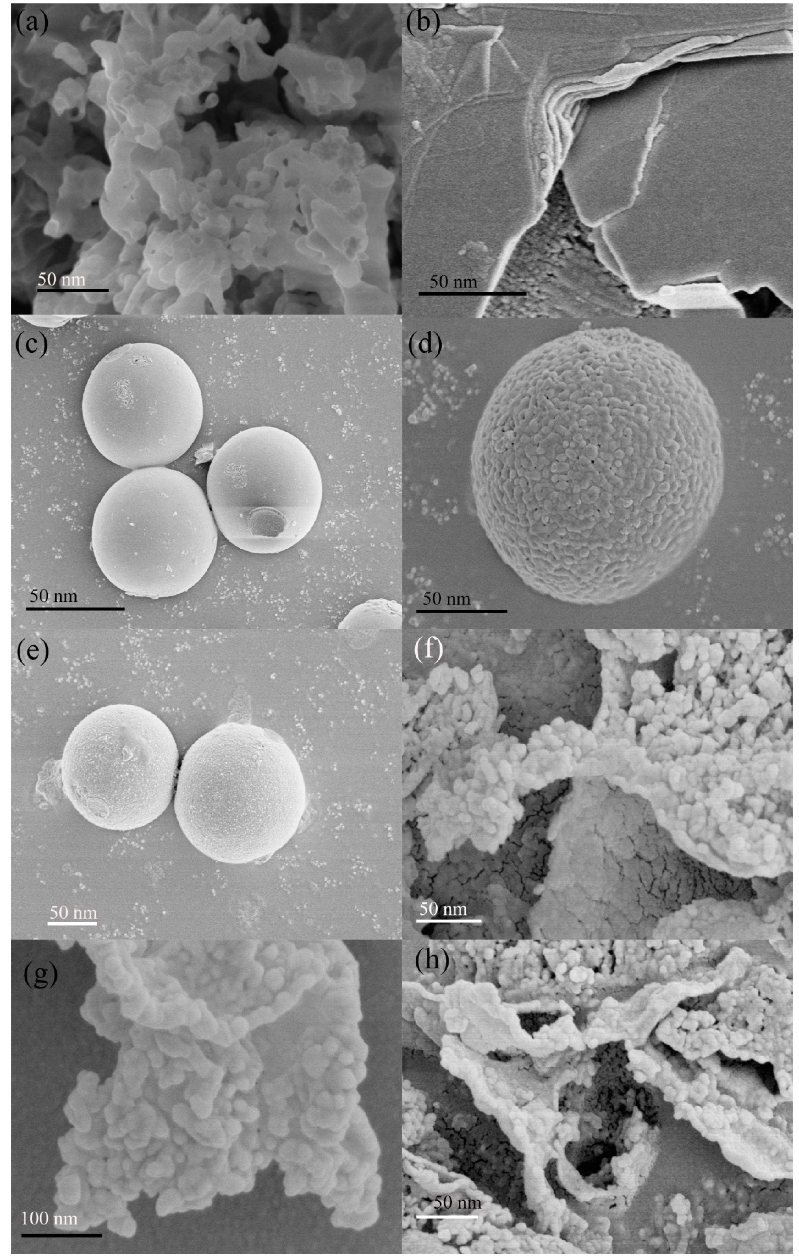 Catalysts 10 00373 g004