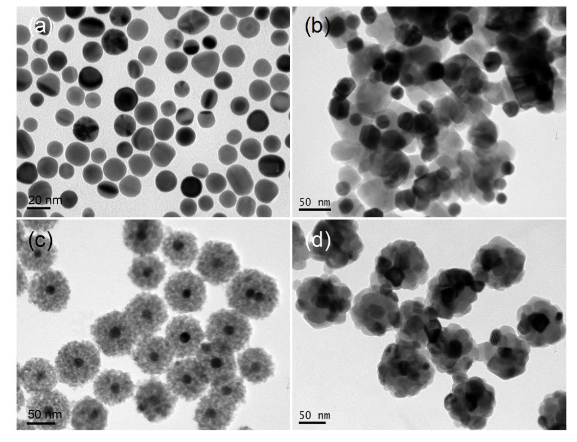 Catalysts 10 00376 g001 Catalysts 10 00376 g001