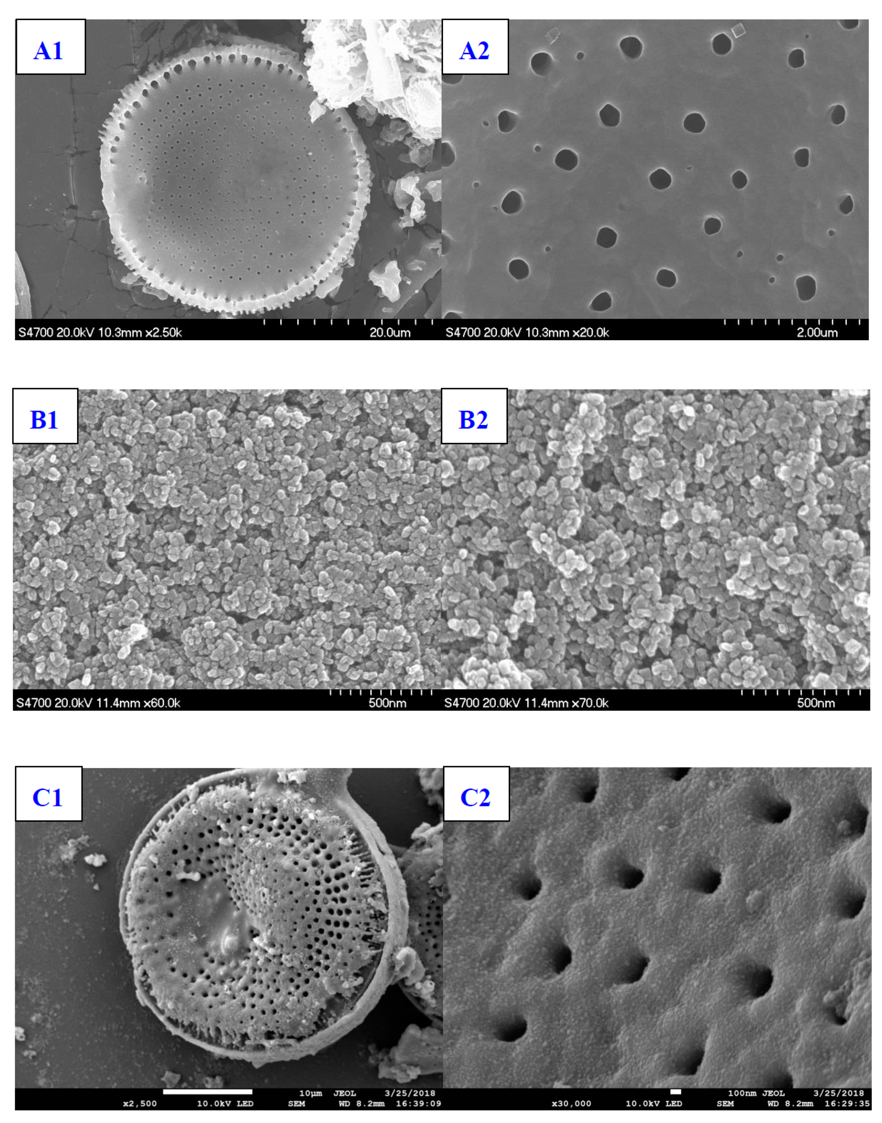 Catalysts 10 00380 g003a Catalysts 10 00380 g003a