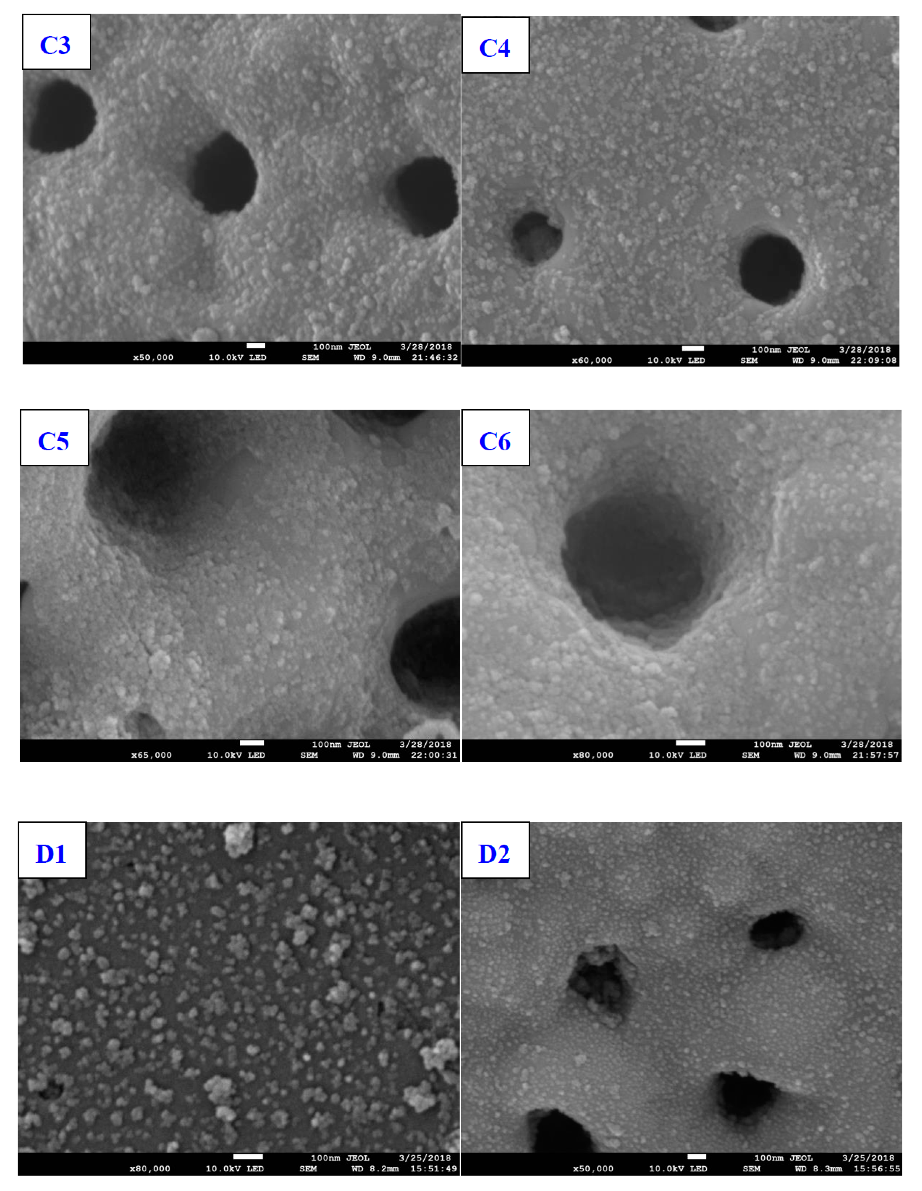 Catalysts 10 00380 g003b Catalysts 10 00380 g003b