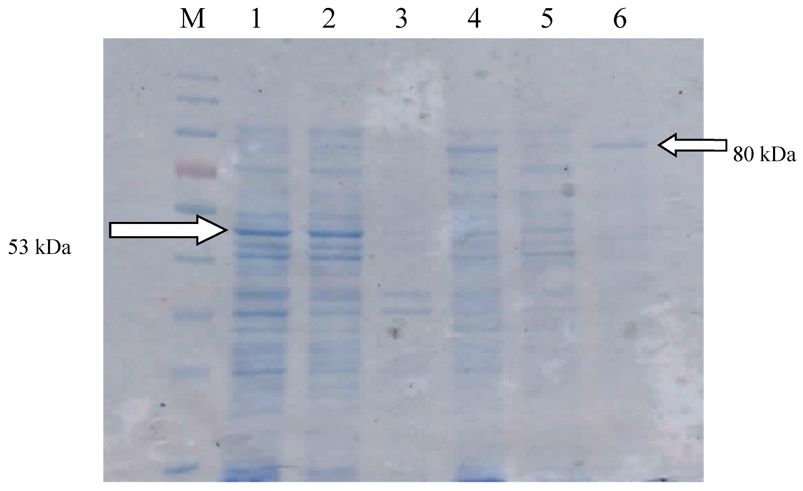 Catalysts 10 00382 g001 Catalysts 10 00382 g001
