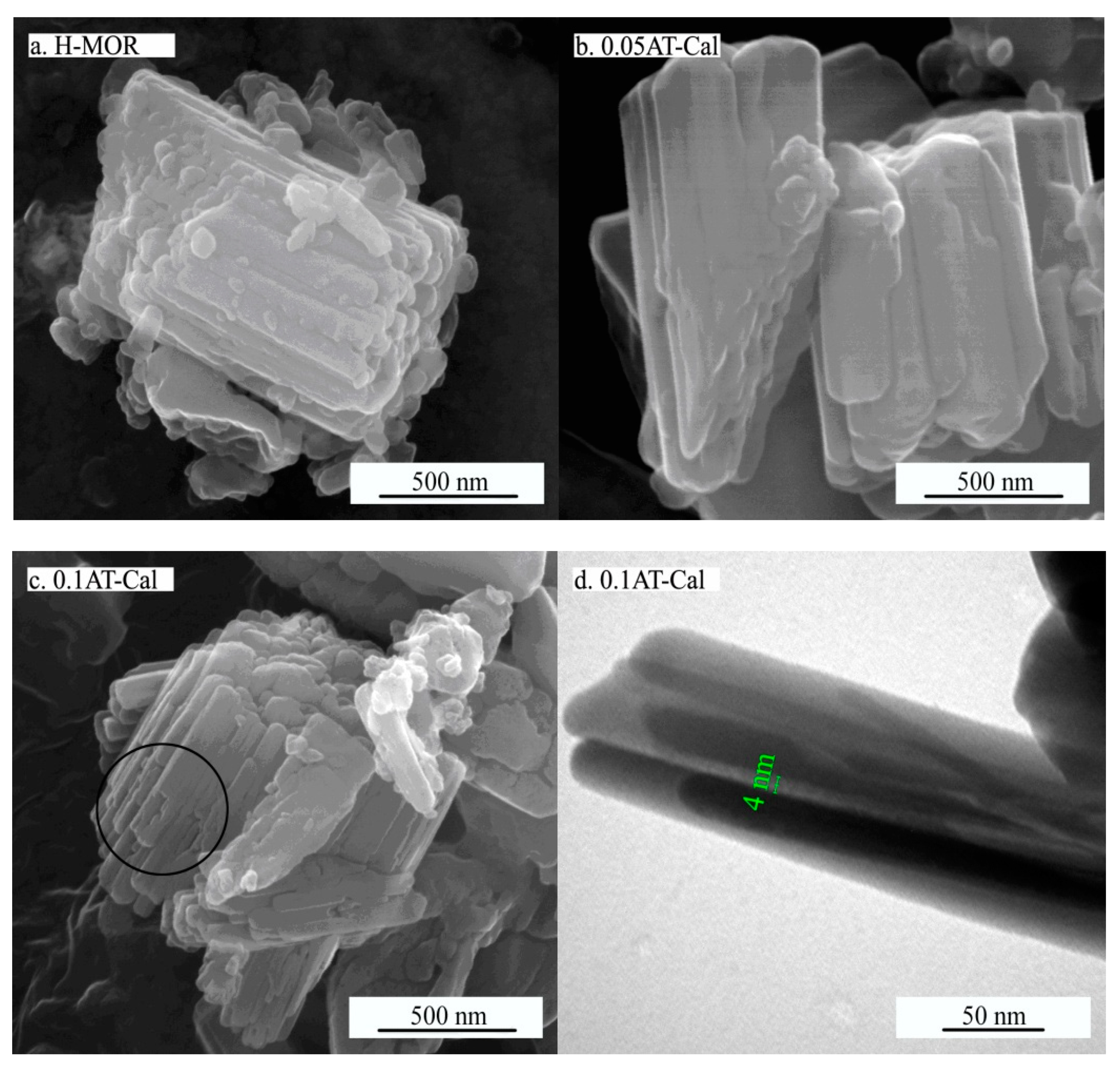 Catalysts 10 00386 g002