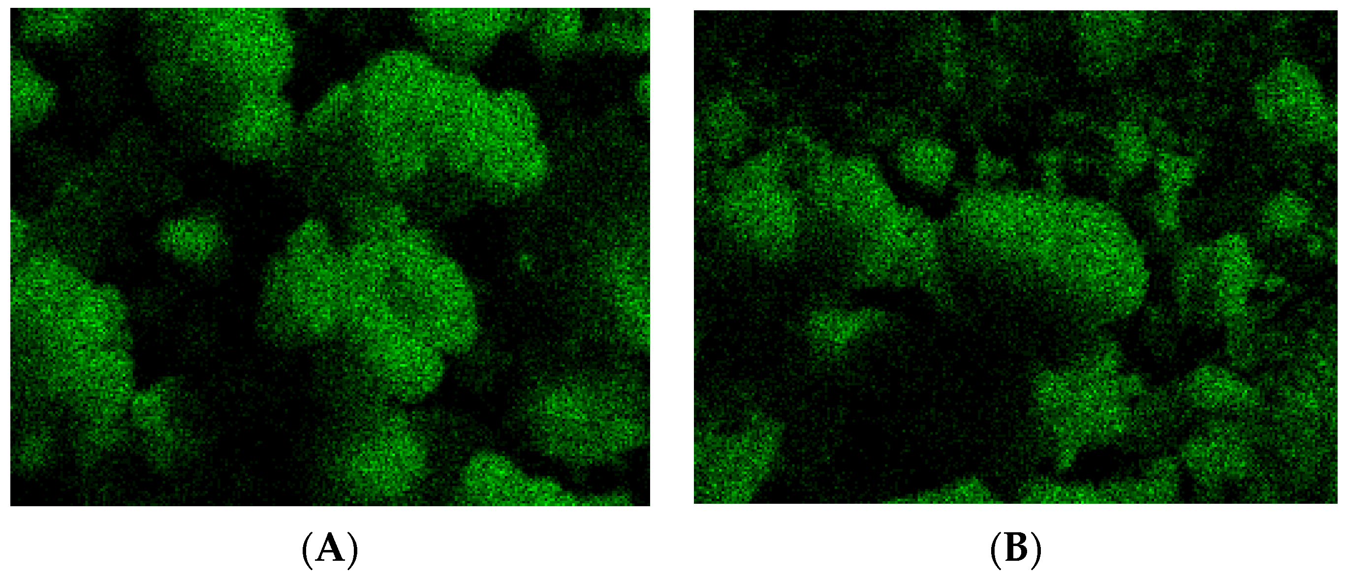 Catalysts 10 00387 g001