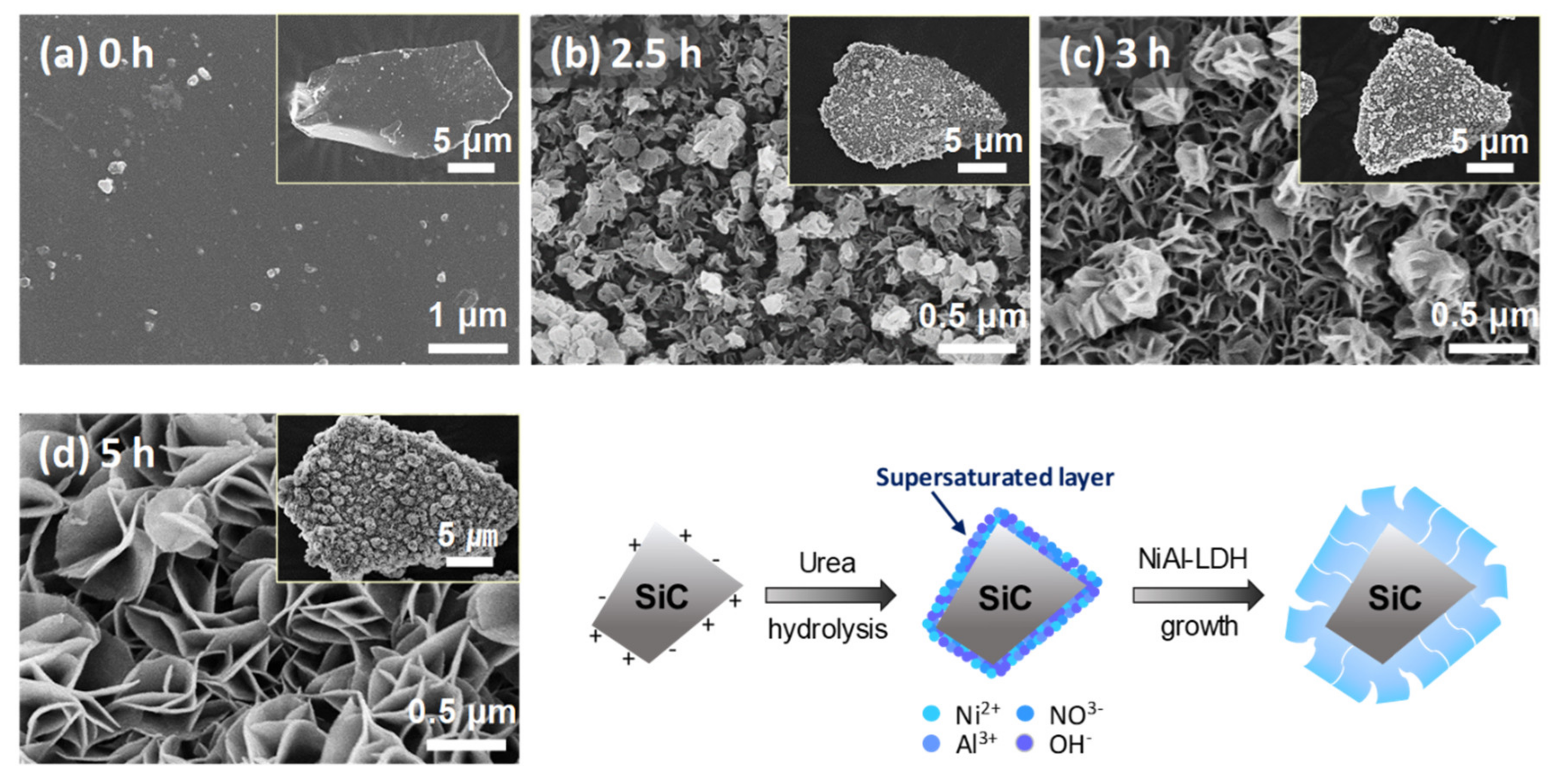 Catalysts 10 00391 g004 Catalysts 10 00391 g004