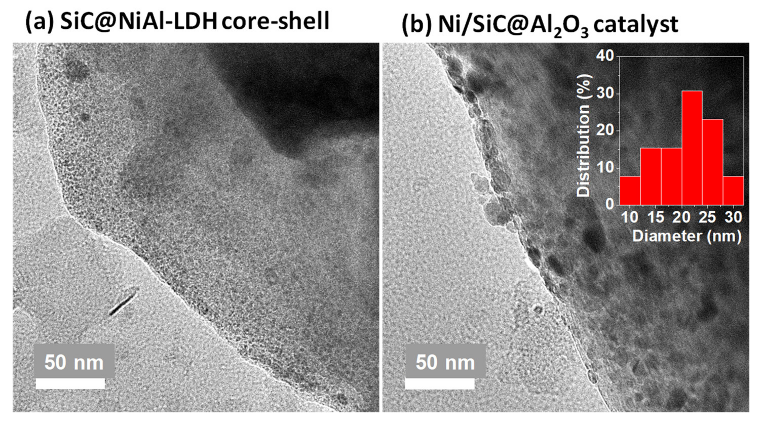 Catalysts 10 00391 g008 Catalysts 10 00391 g008
