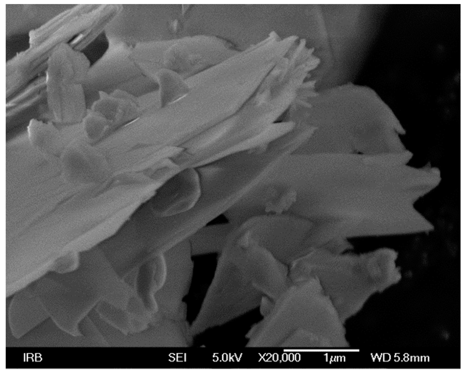 Catalysts 10 00400 g005 Catalysts 10 00400 g005