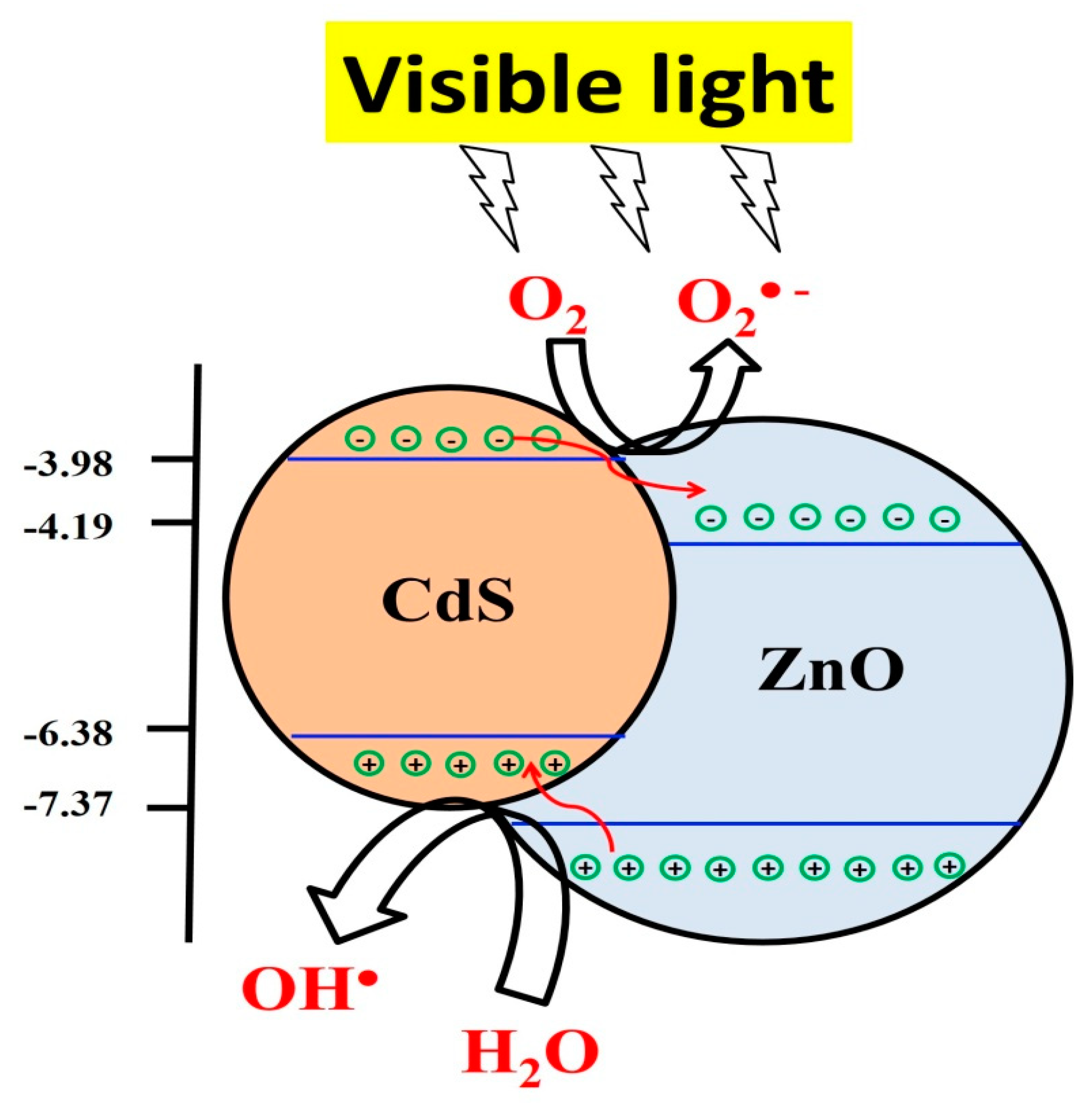 Catalysts 10 00417 g007 Catalysts 10 00417 g007