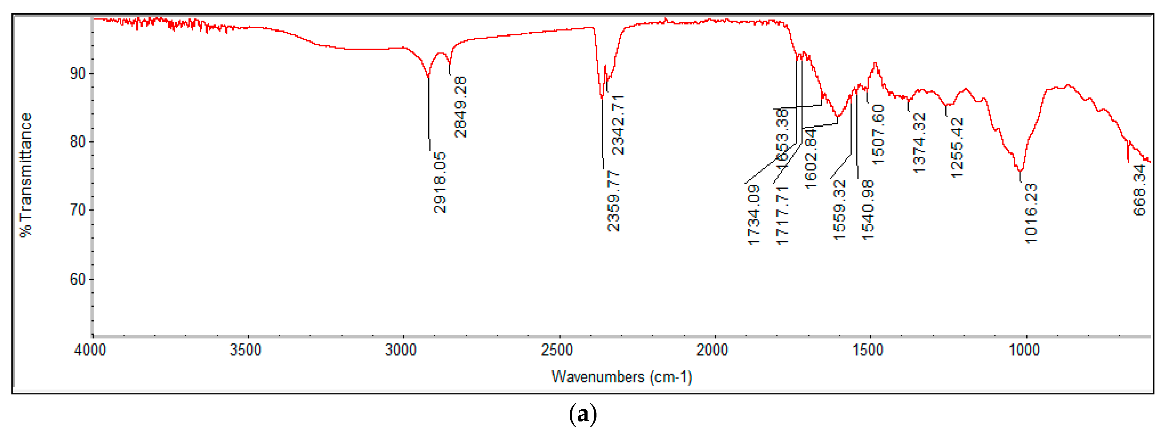 Catalysts 10 00427 g003a Catalysts 10 00427 g003a