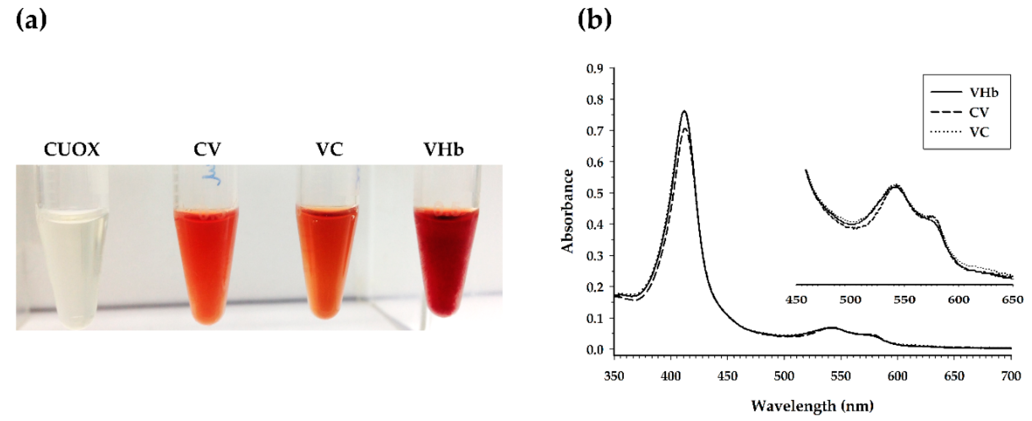 Catalysts 10 00428 g004 Catalysts 10 00428 g004