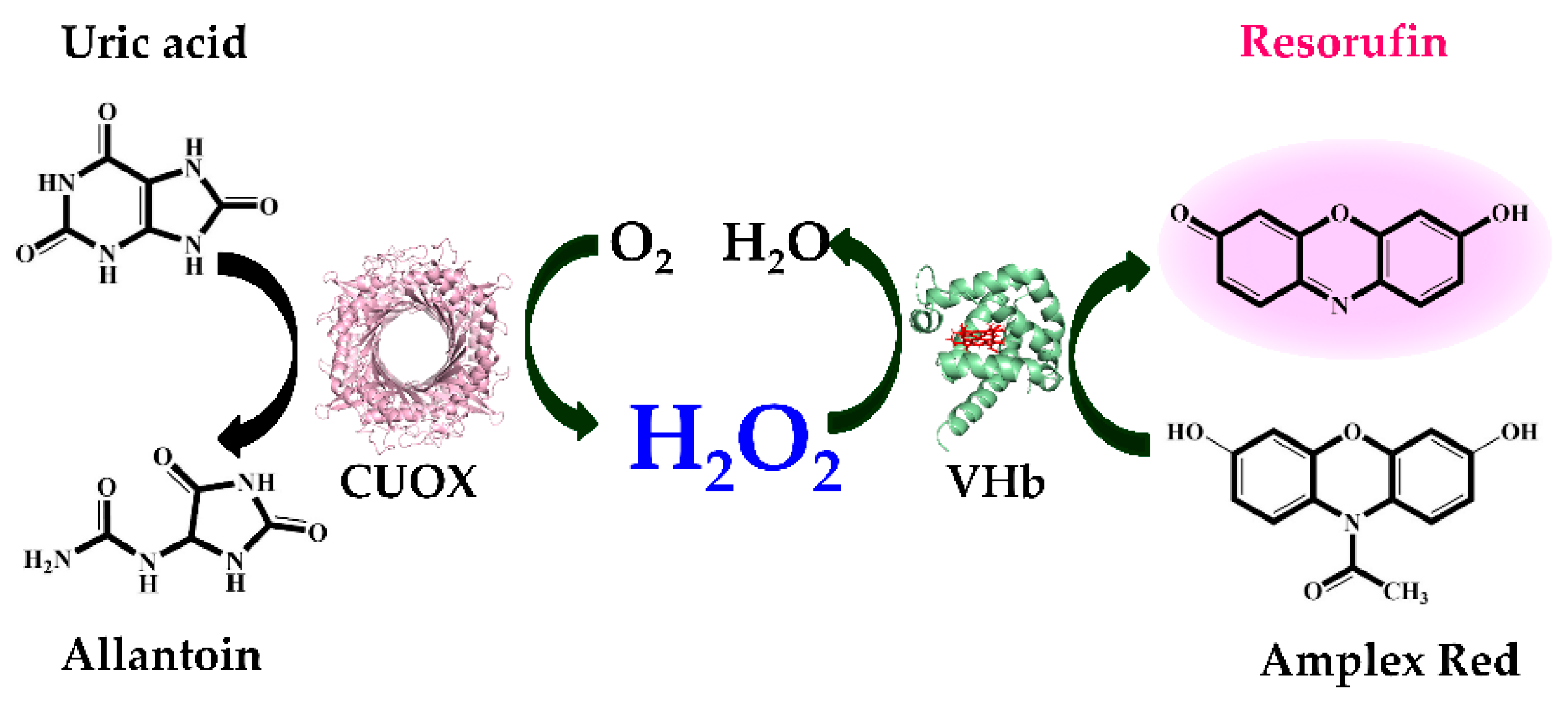 Catalysts 10 00428 g007 Catalysts 10 00428 g007