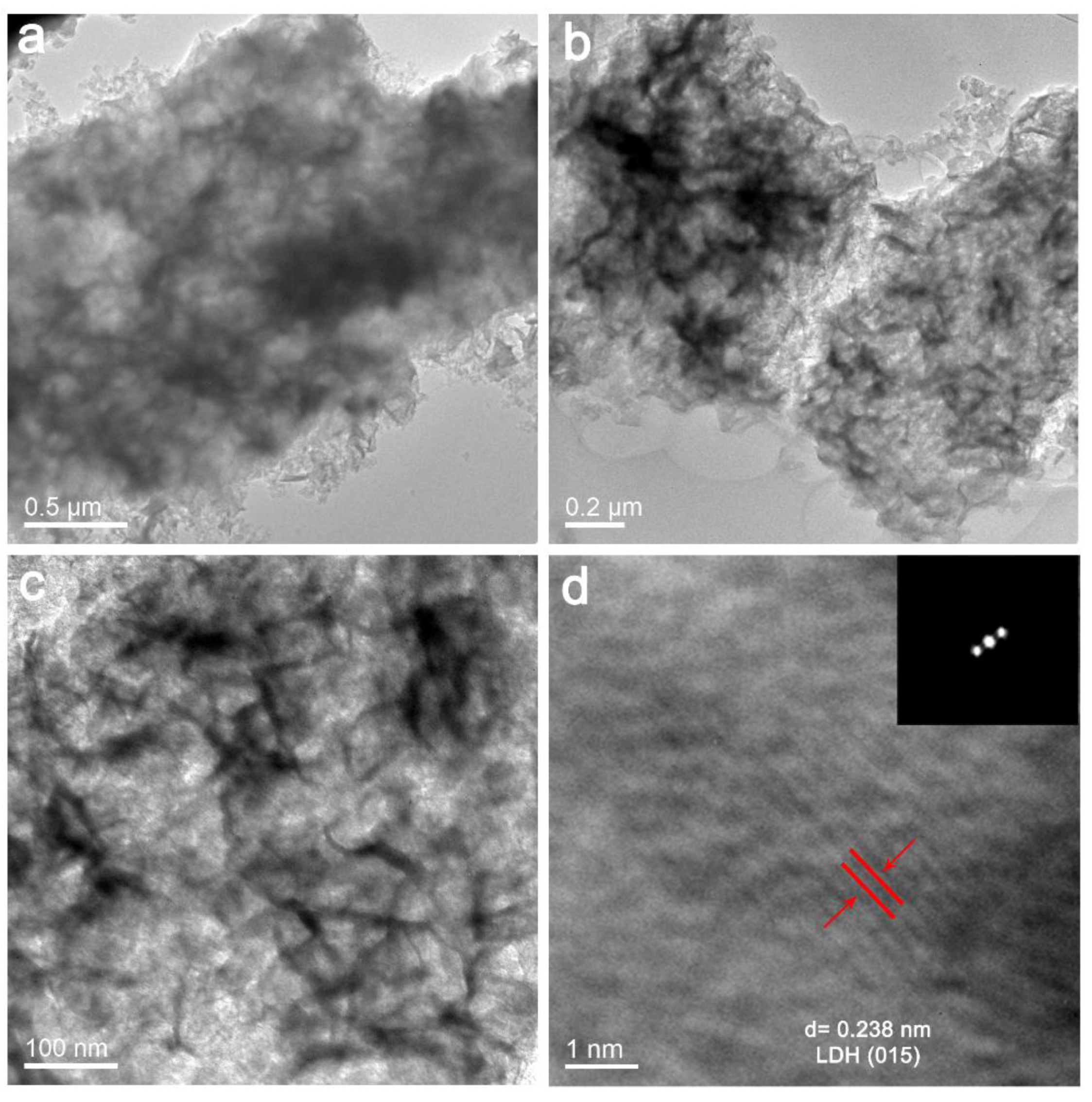Catalysts 10 00431 g004