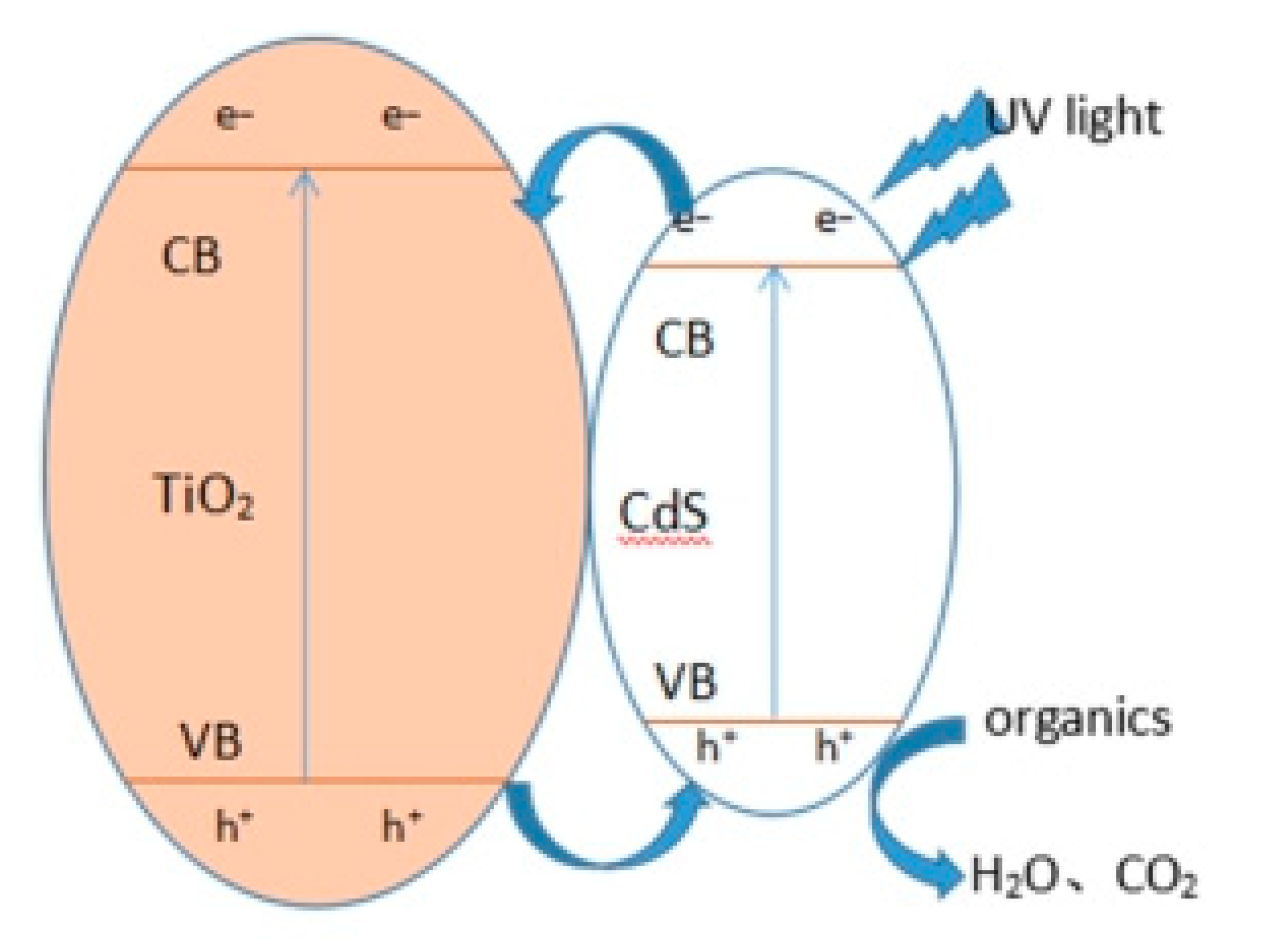 Catalysts 10 00441 g010