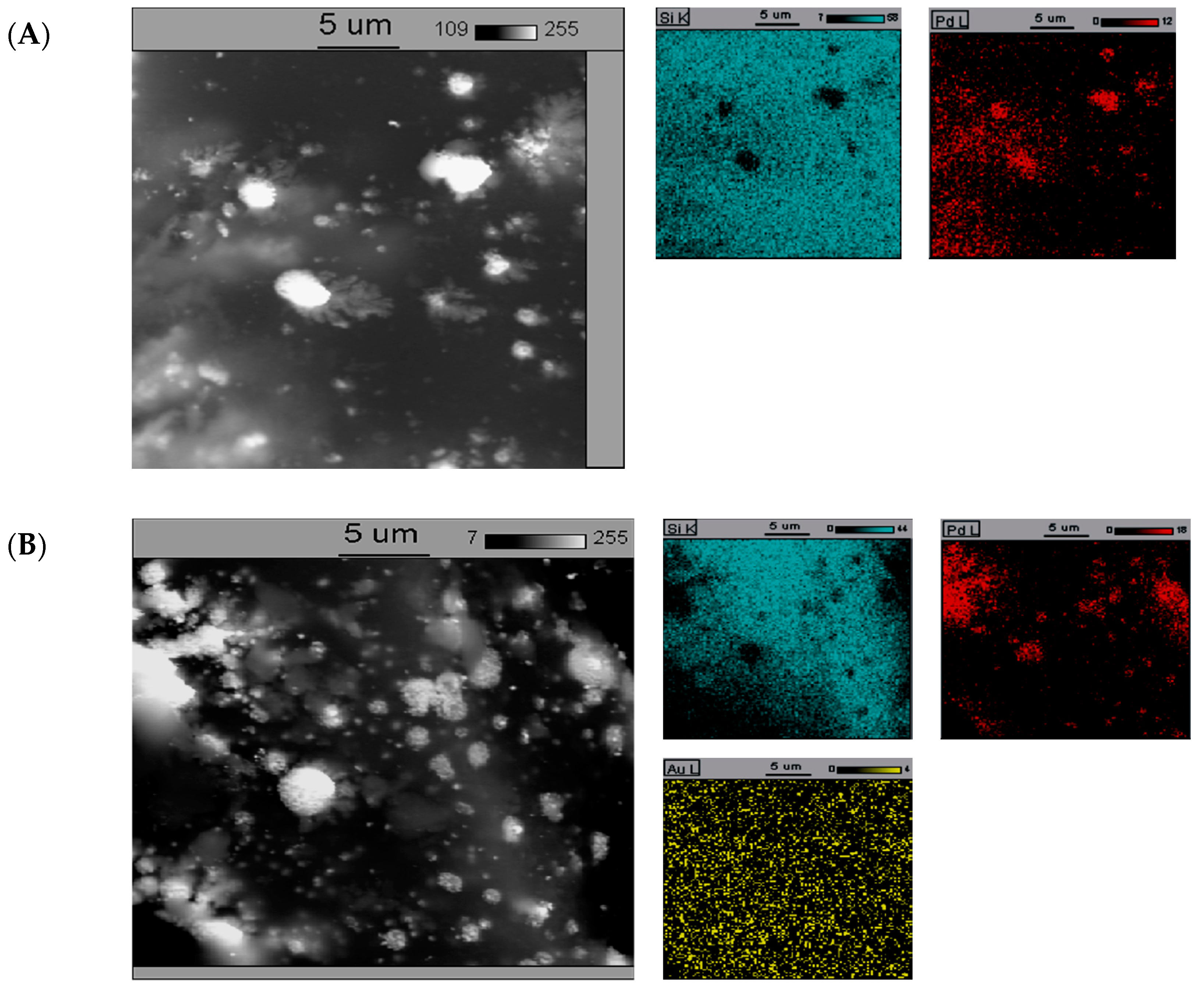 Catalysts 10 00444 g005a Catalysts 10 00444 g005a